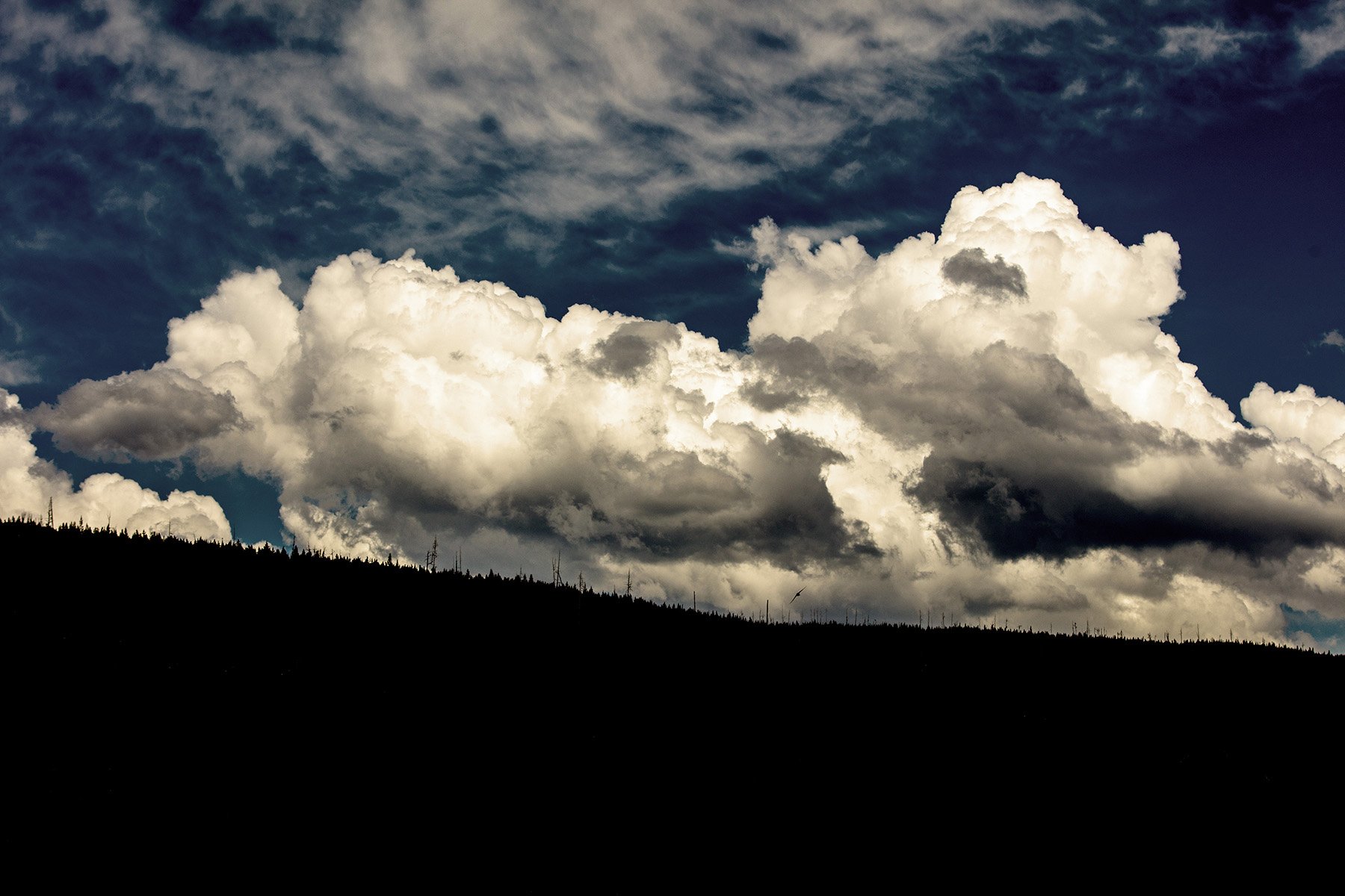 YNP-213.jpg
