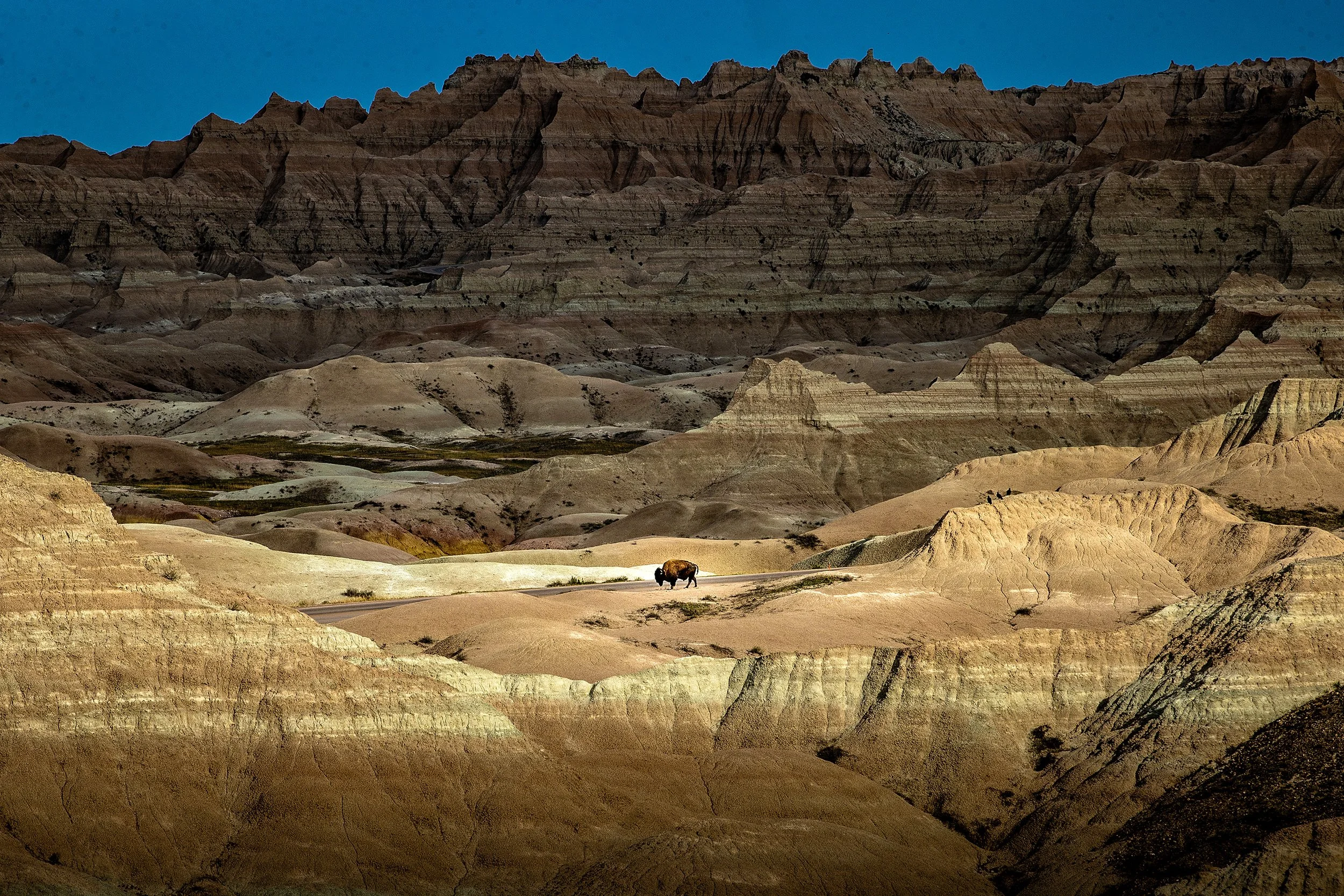 Badlands2026-197.jpg