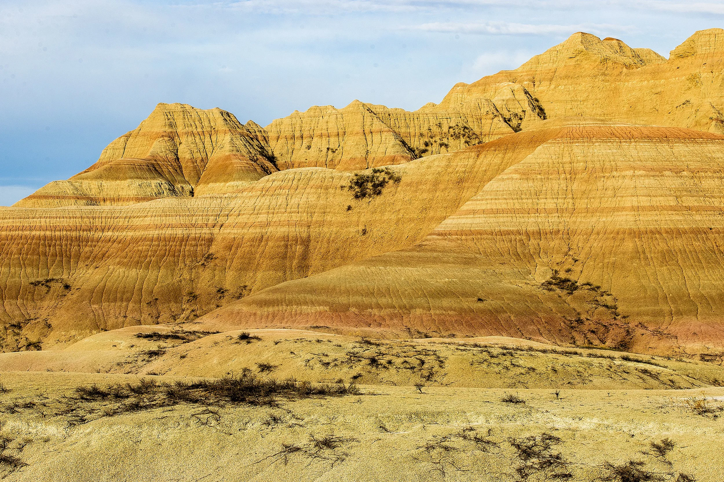 Badlands2026-186.jpg
