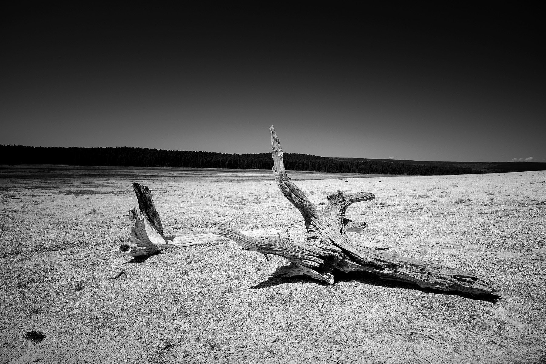 YNP-148.jpg