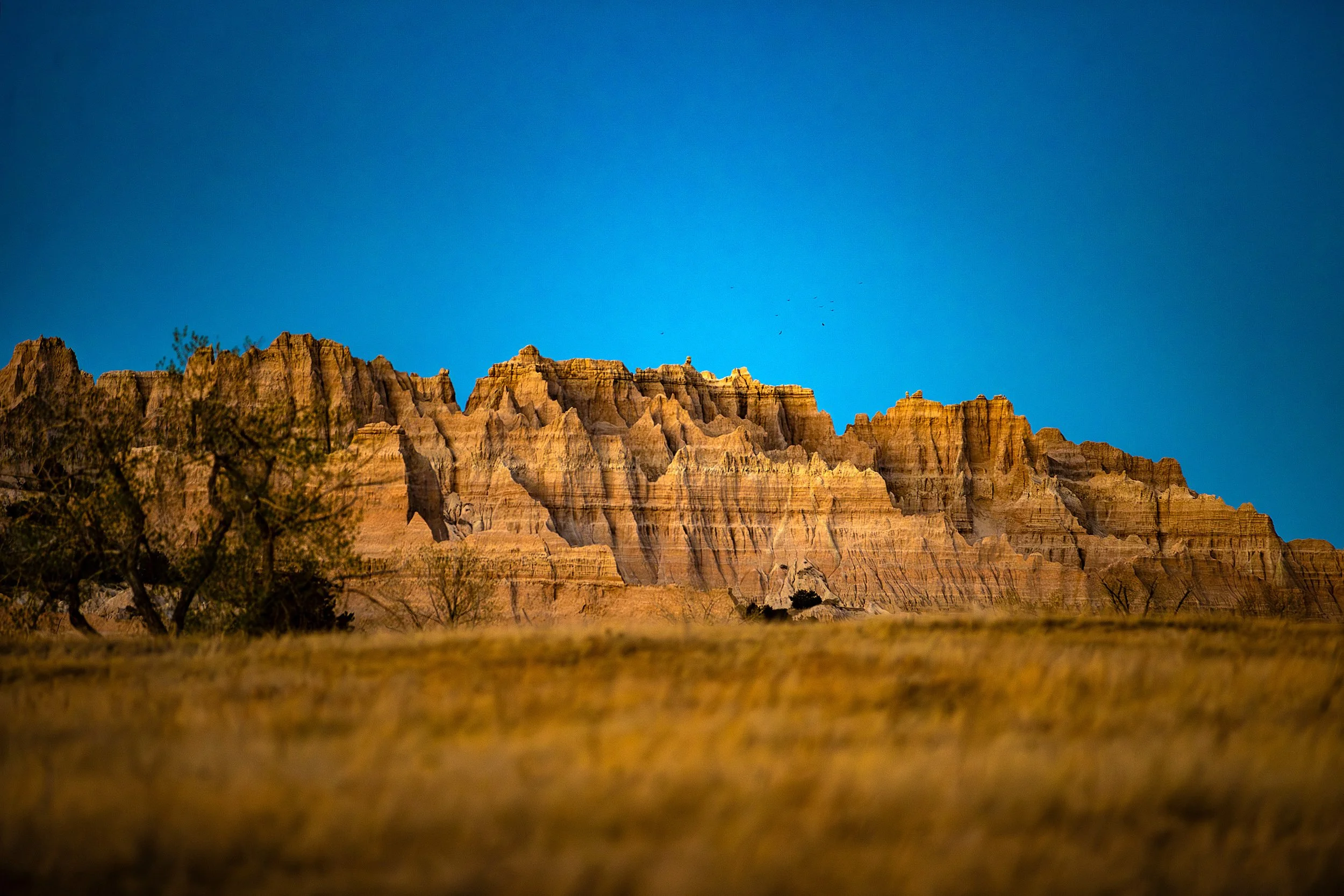 Badlands2026-160.jpg