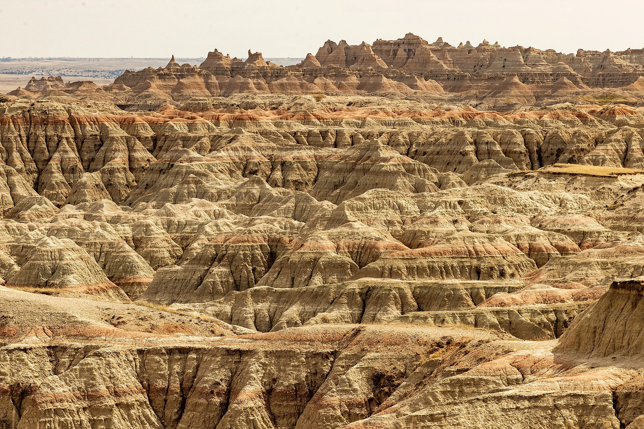 Badlands2026-30.jpg