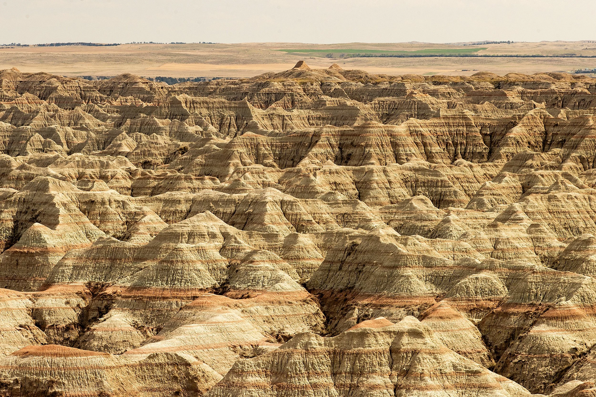 Badlands2026-29.jpg