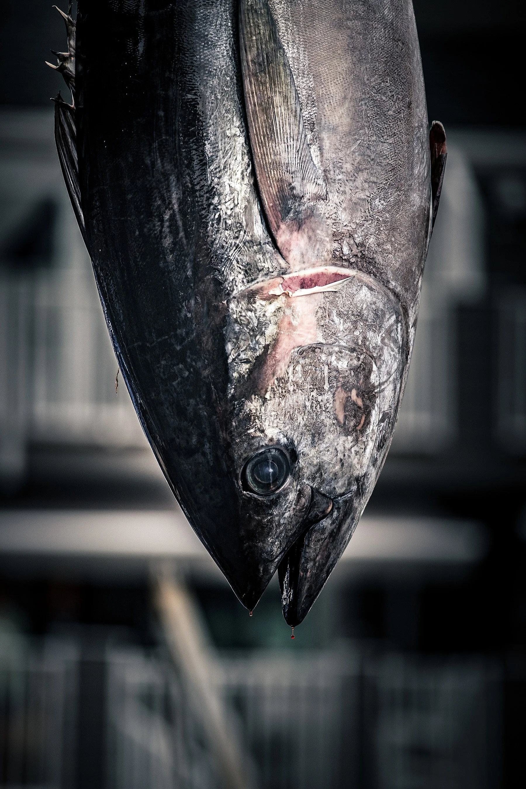 2024WMO_TheWildBlueFilms-392.jpg