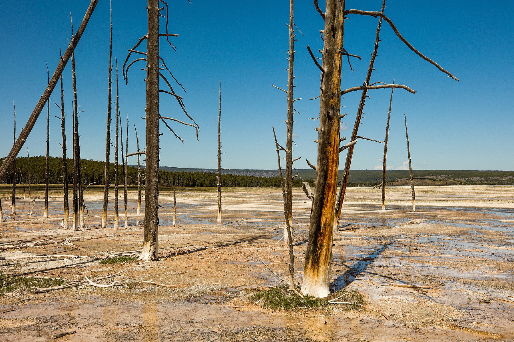 YNP-136.jpg