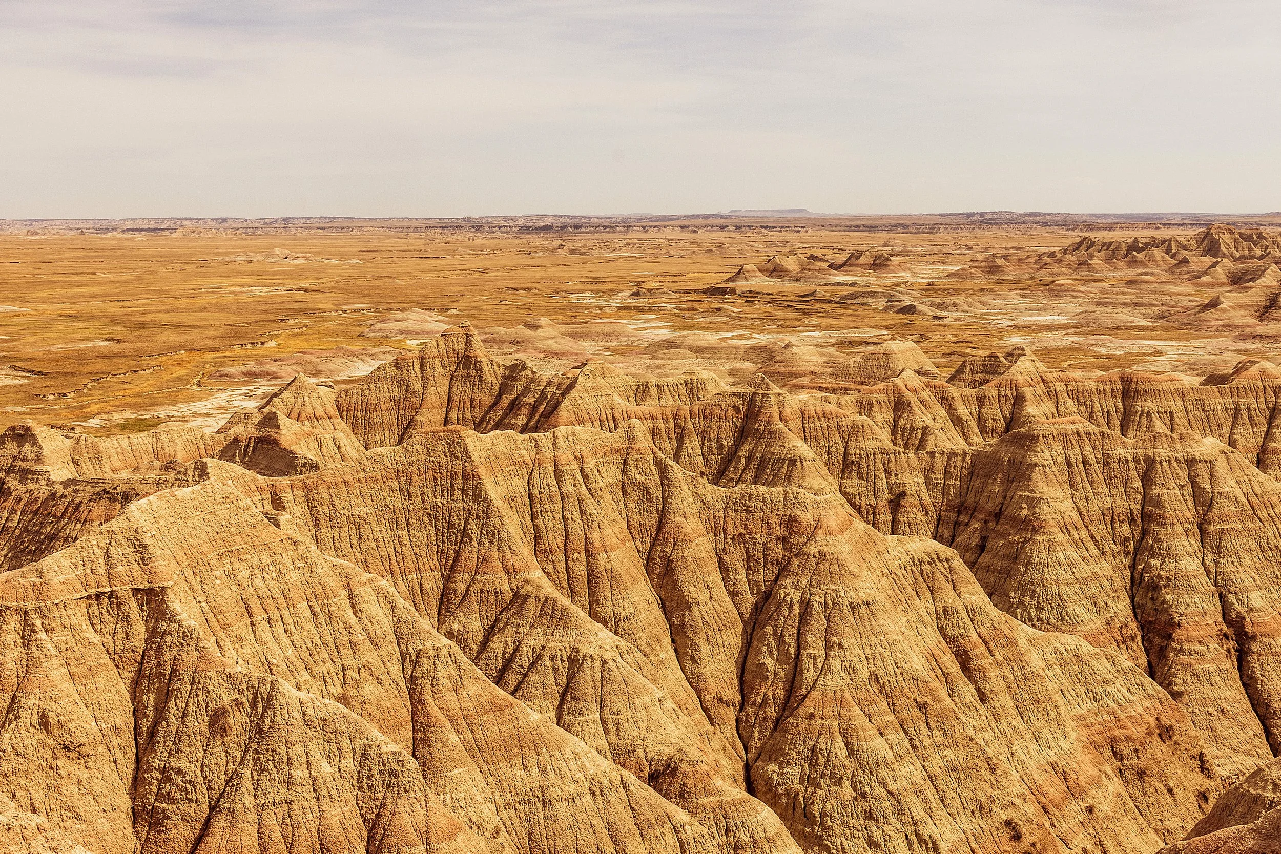 Badlands2026-233.jpg