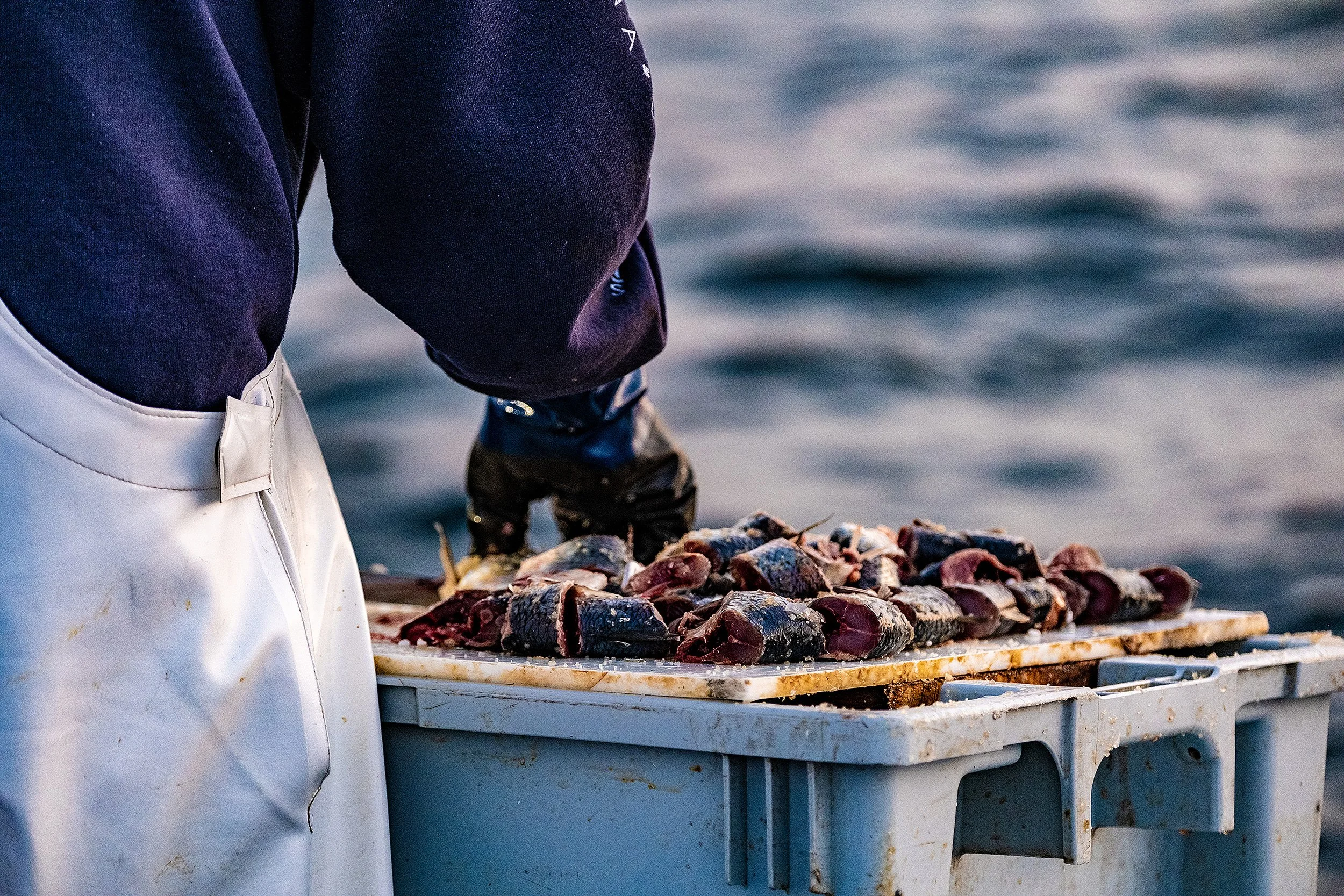 MarlinExpeditions_NovaScotia2024-77.jpg