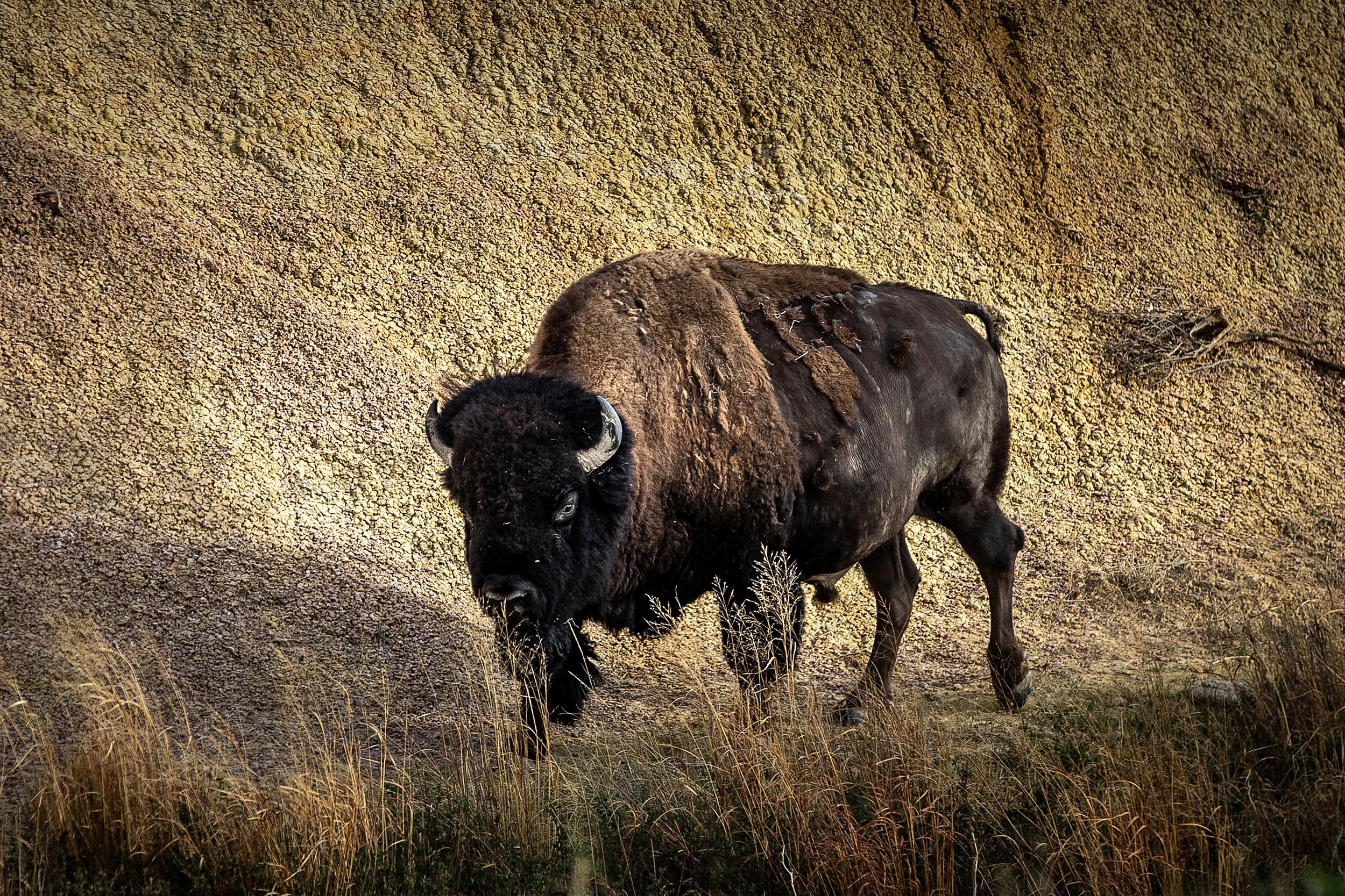 Badlands2026-201.jpg