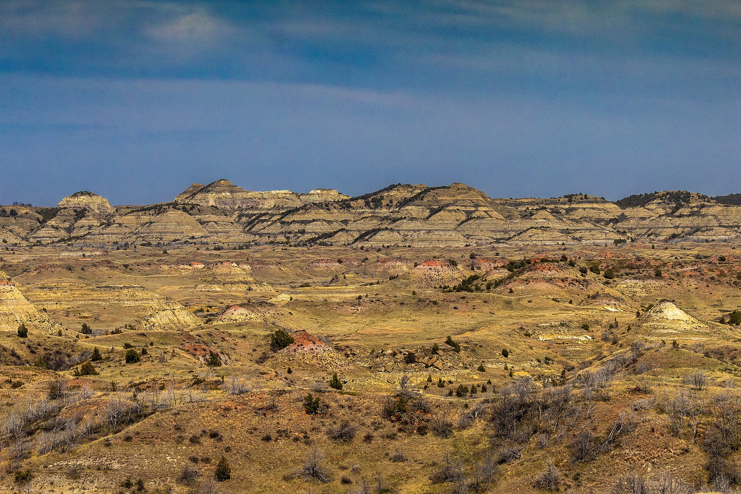 TheordoreRossevelt_2026-382.jpg