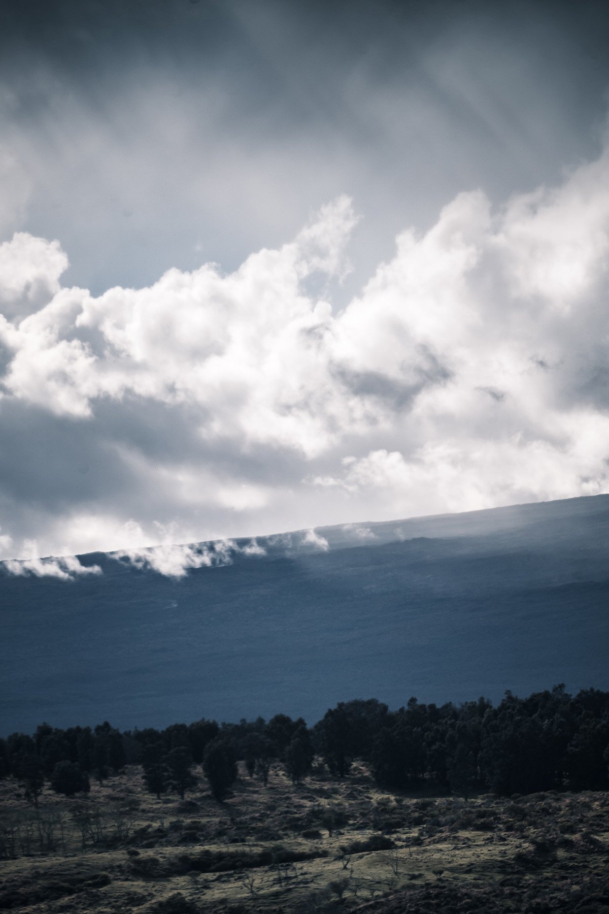HVNP-152.jpg