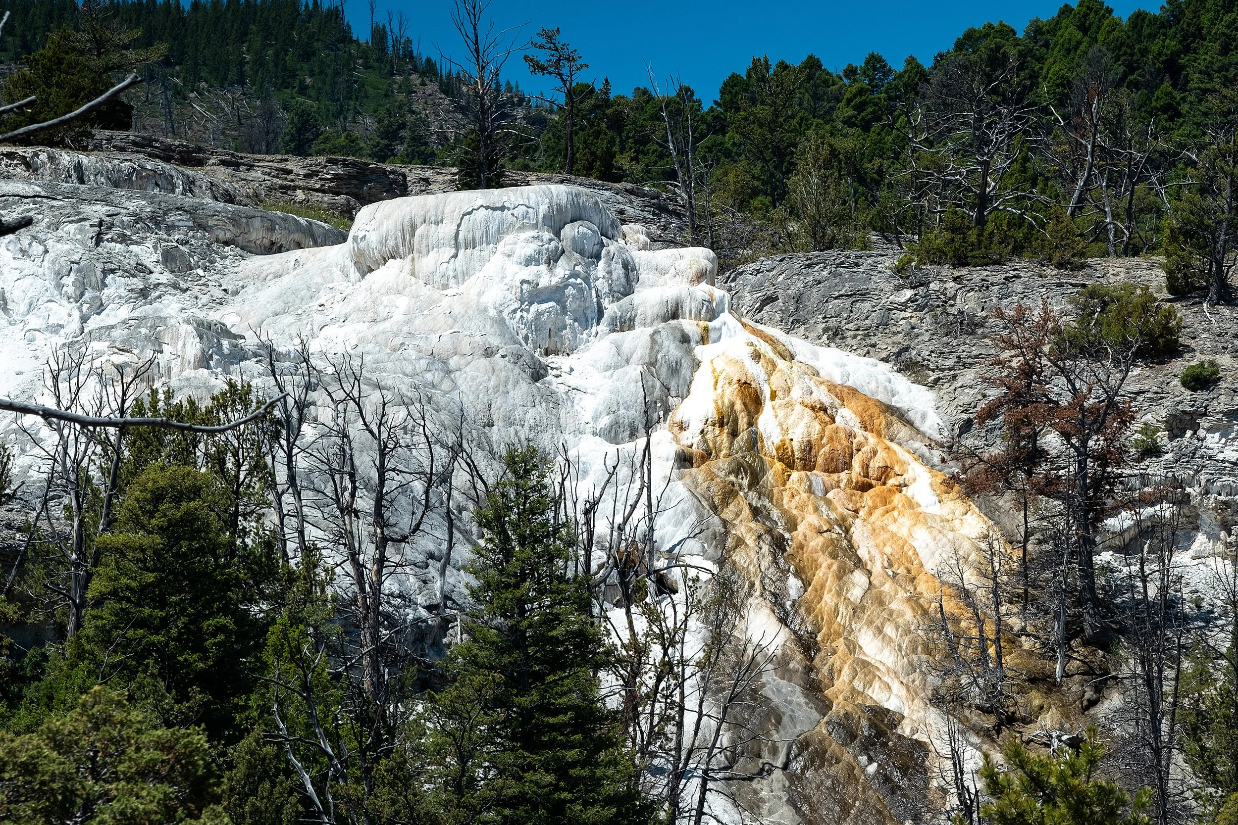 Yellowstonw_July2023-9.jpg