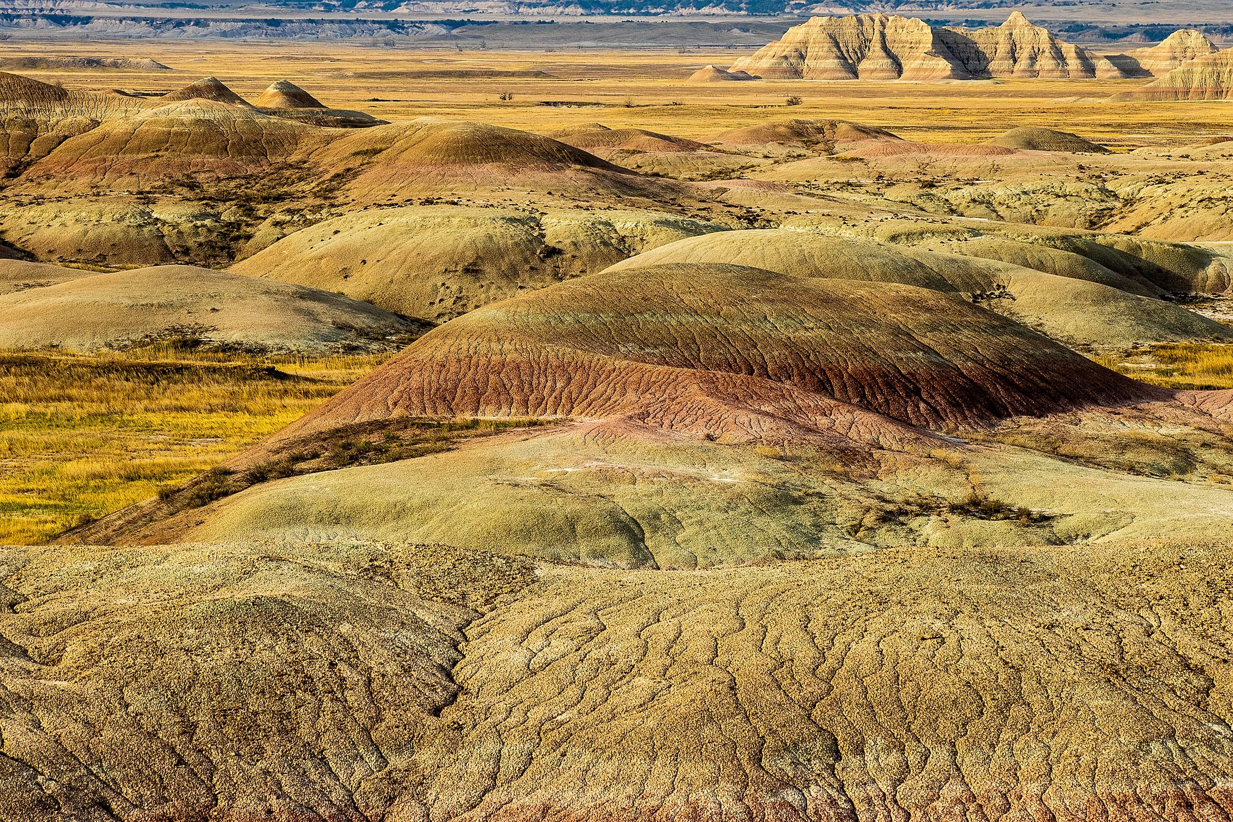 Badlands2026-183.jpg