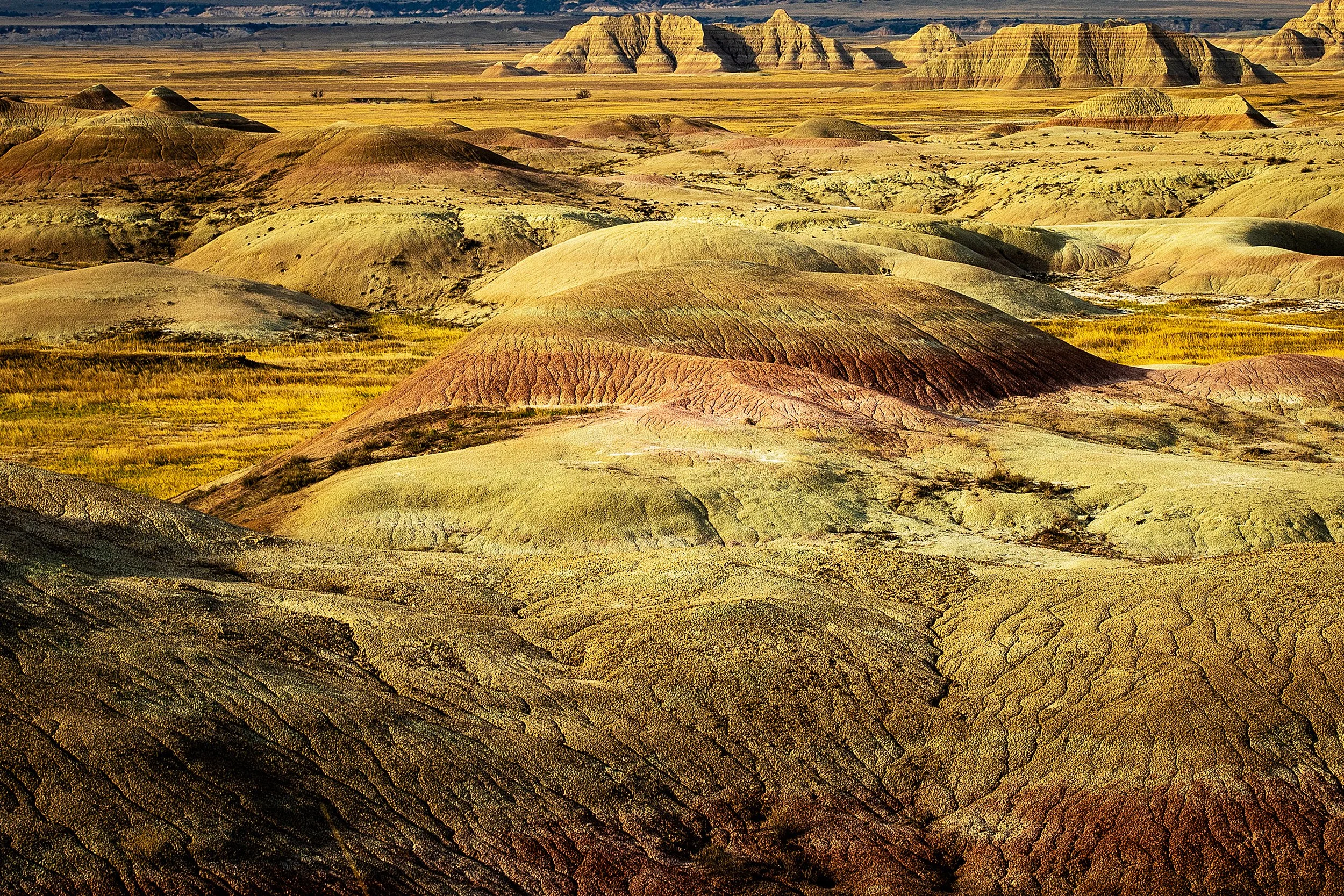 Badlands2026-180.jpg
