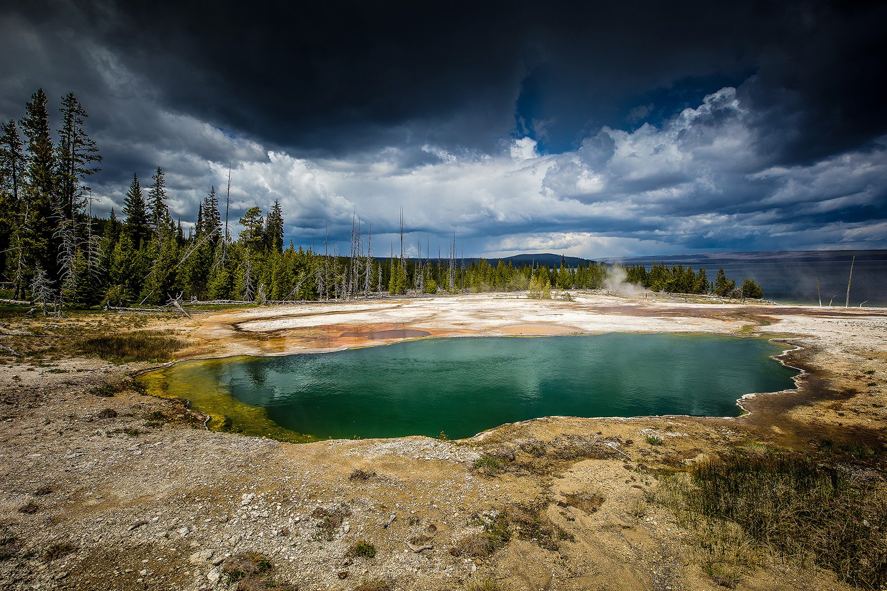 YNP-26.jpg