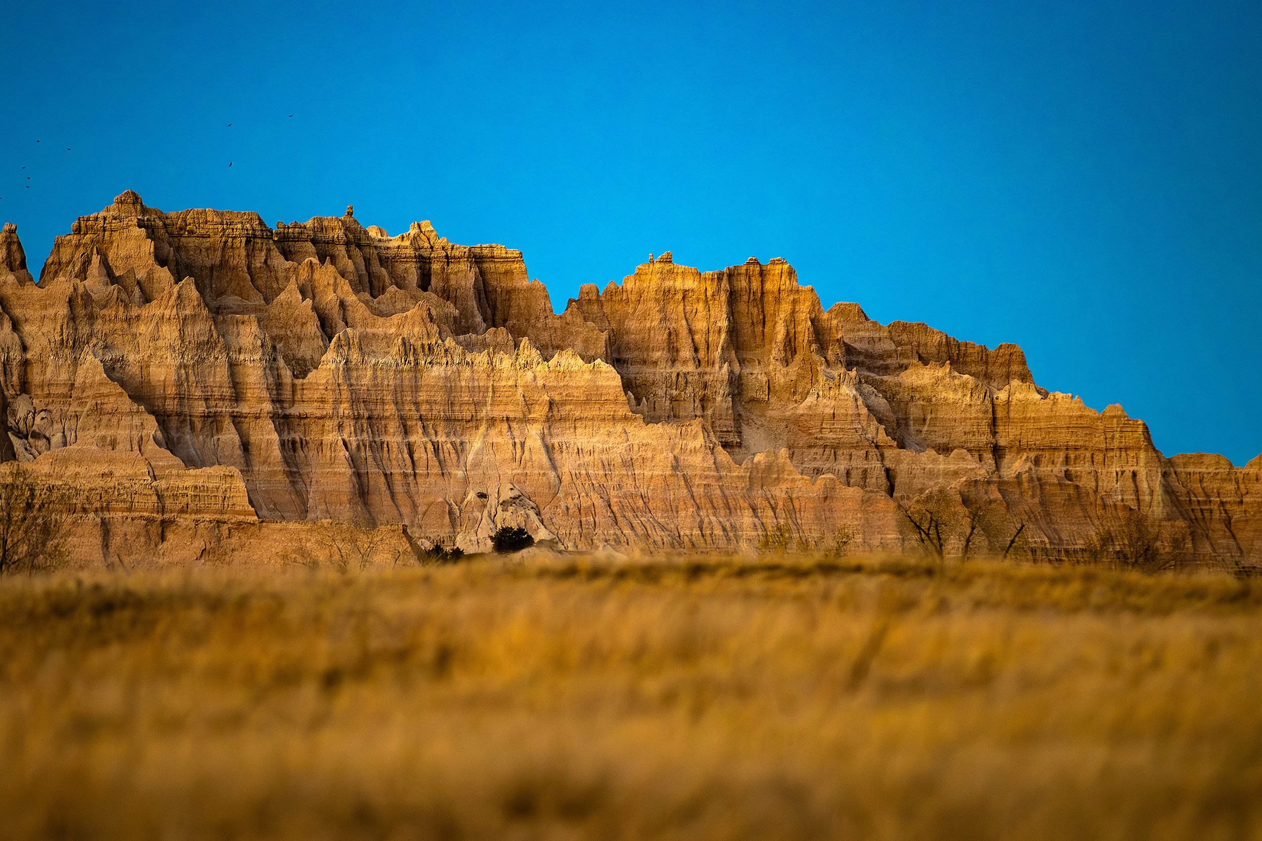 Badlands2026-161.jpg