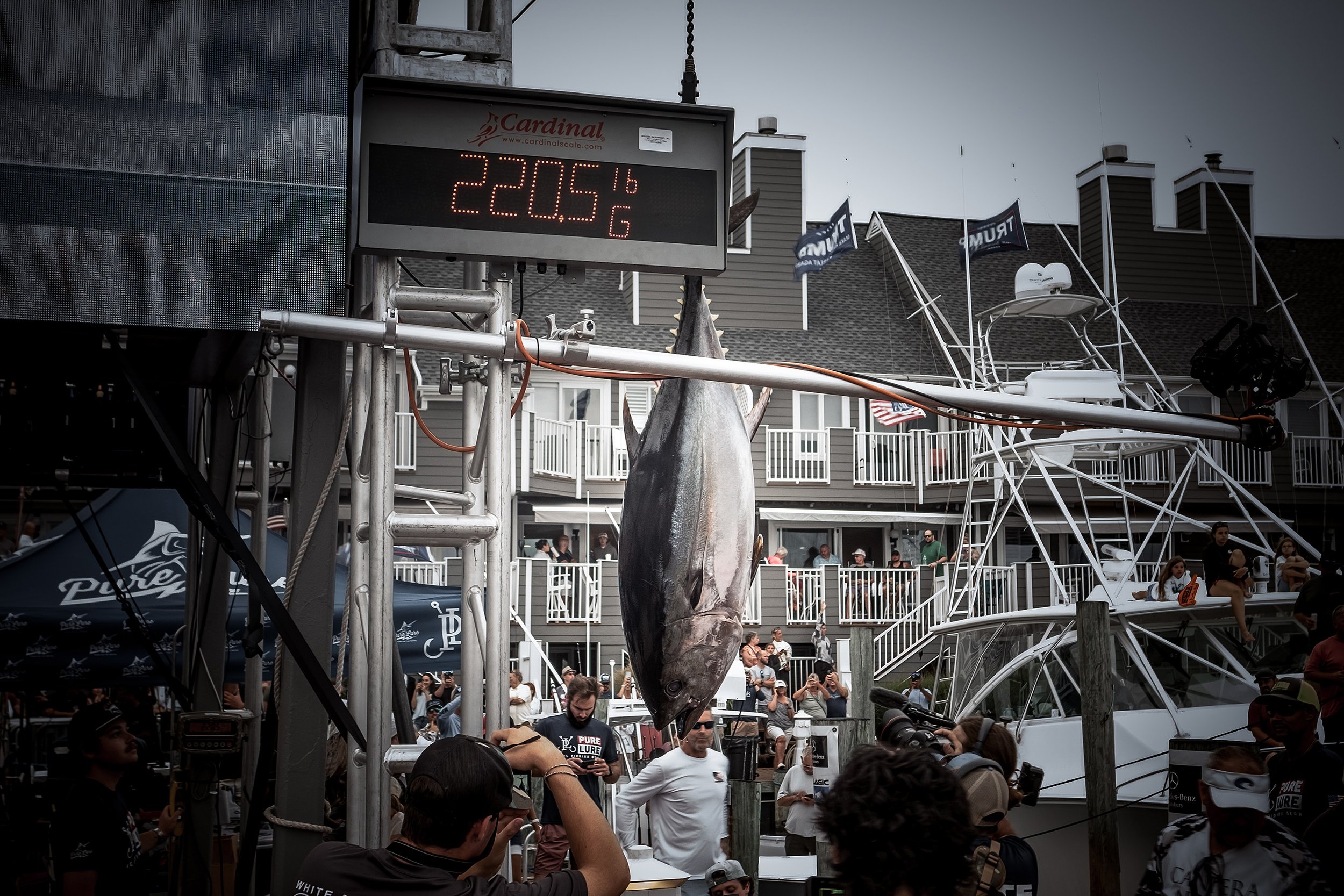 2024WMO_TheWildBlueFilms-158.jpg