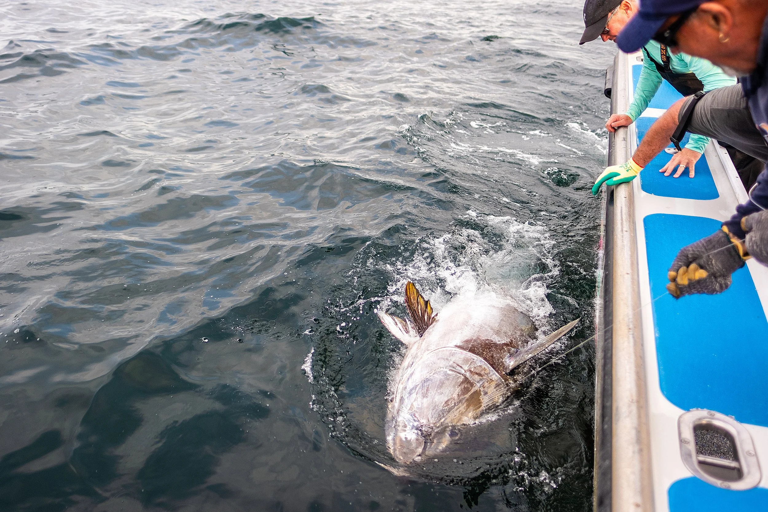 MarlinExpeditions_NovaScotia2024-318.jpg
