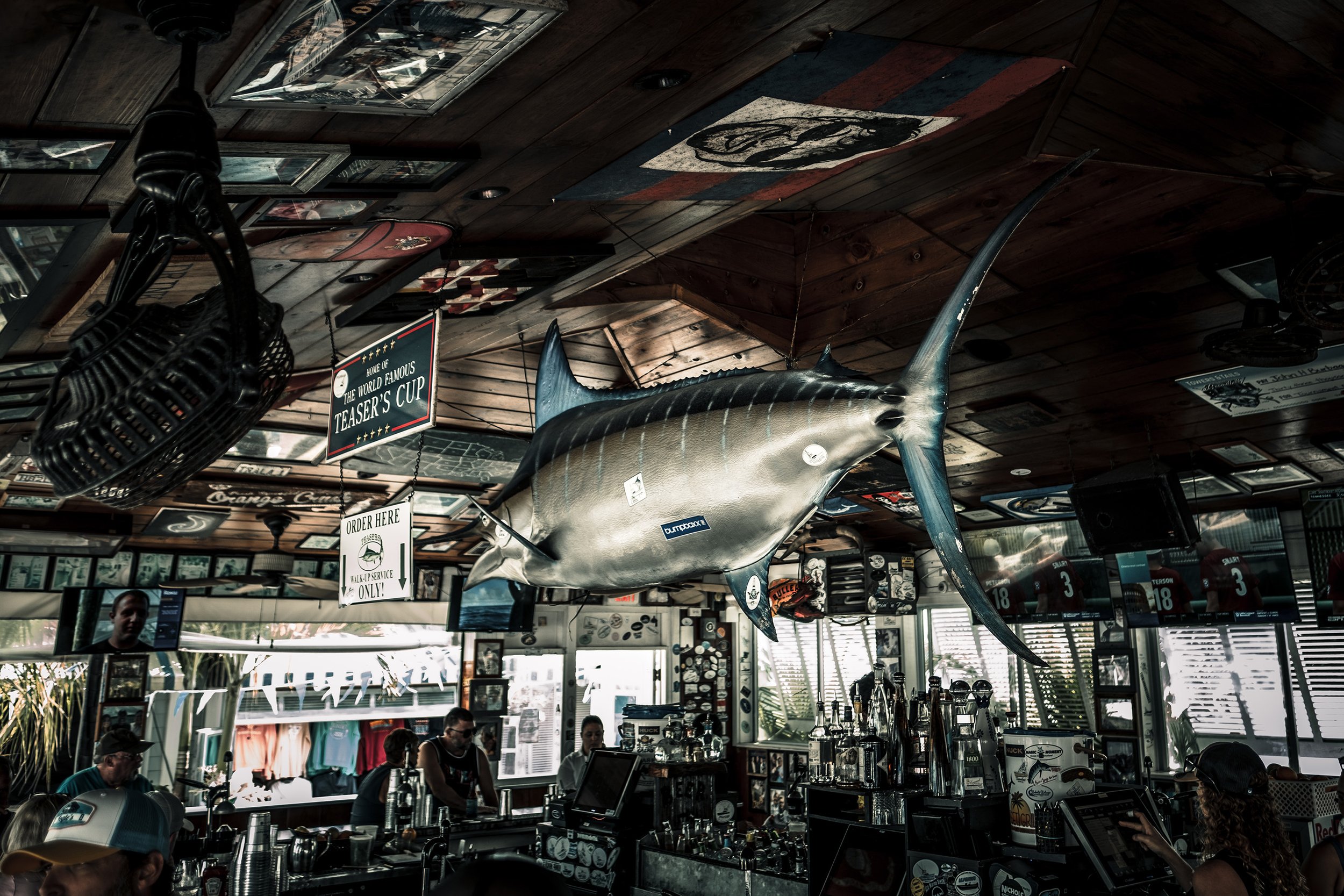 2024WMO_TheWildBlueFilms-49.jpg