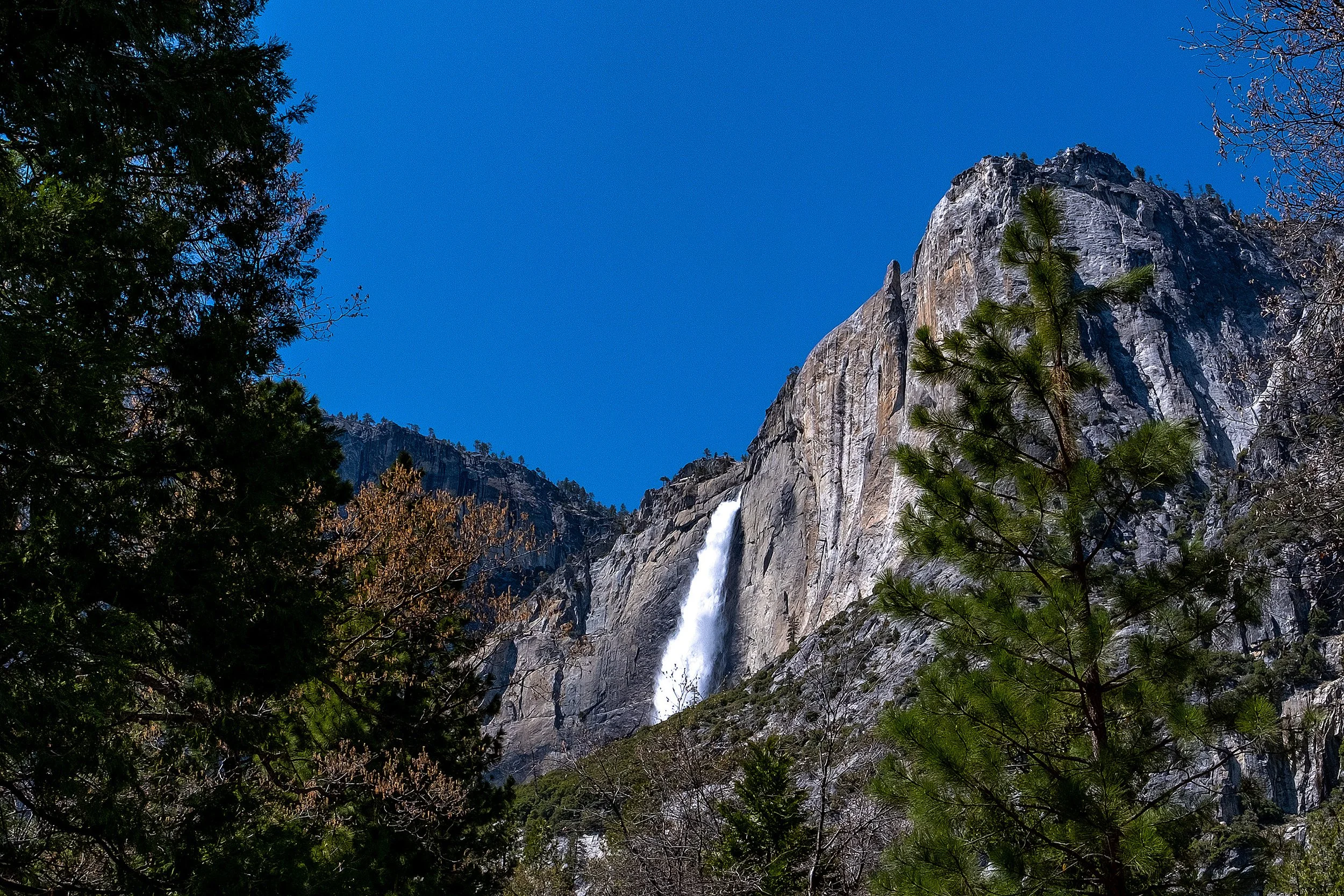 Yosemite-142.jpg