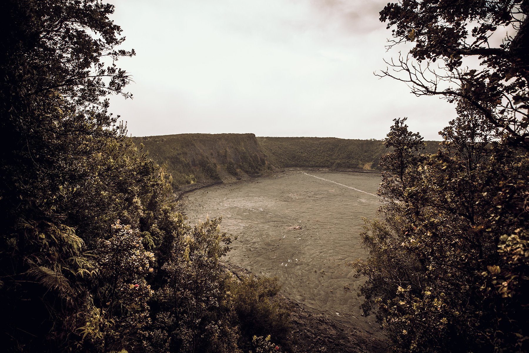 HVNP-306.jpg
