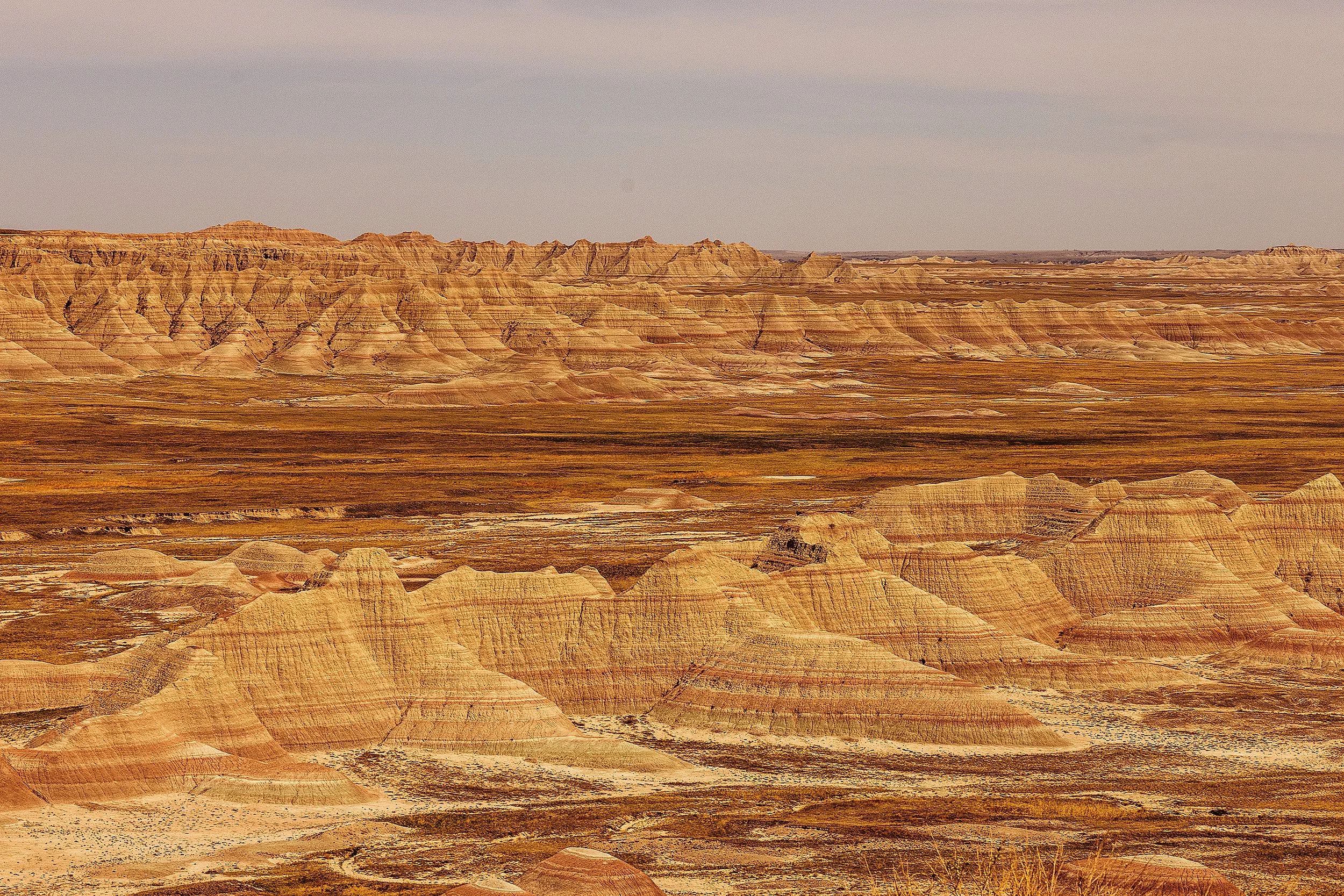 Badlands2026-246.jpg