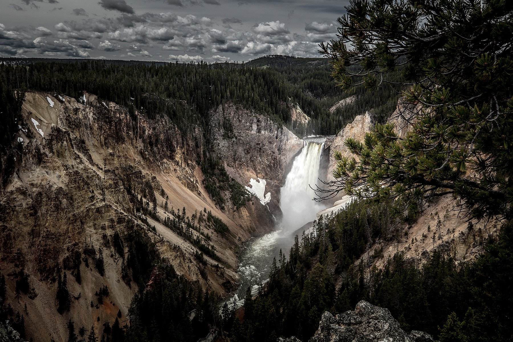 YNP-448.jpg