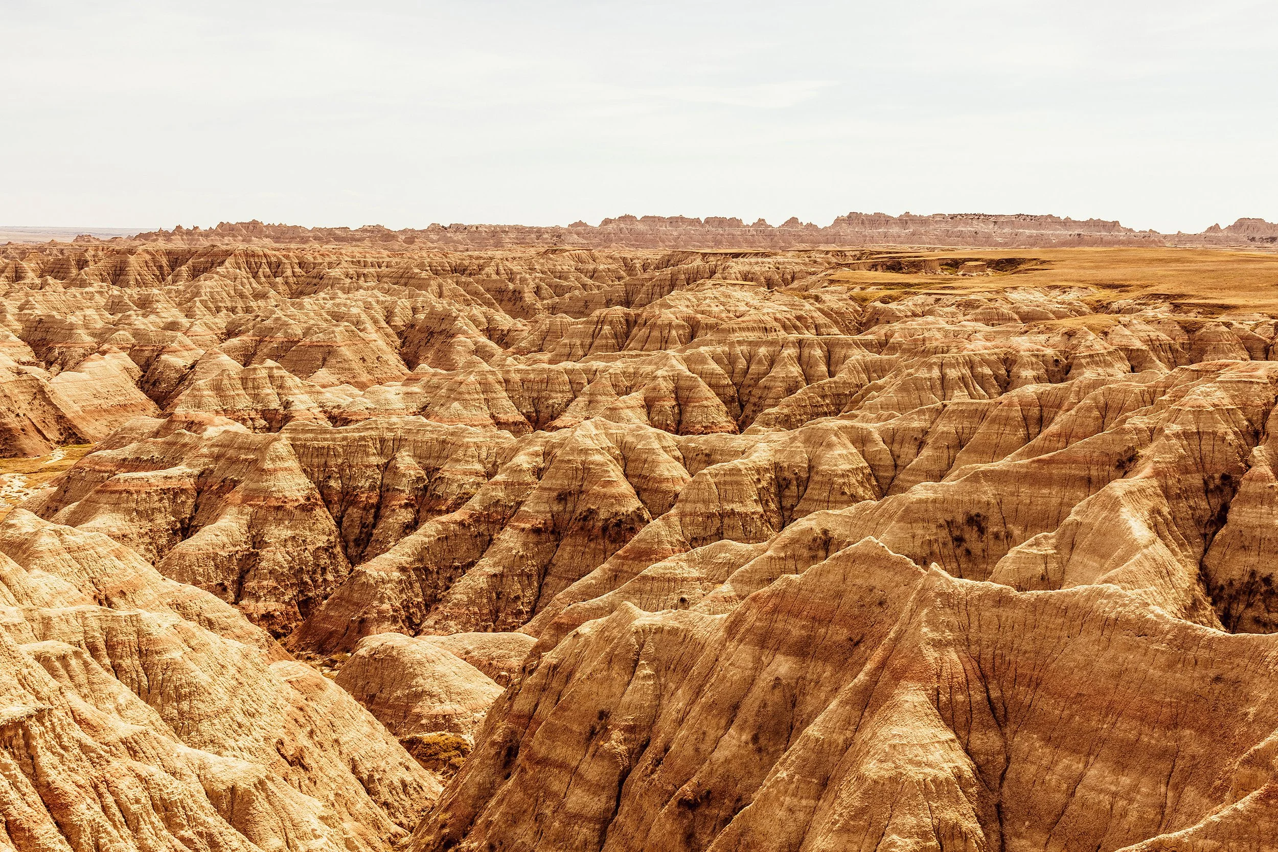 Badlands2026-227.jpg