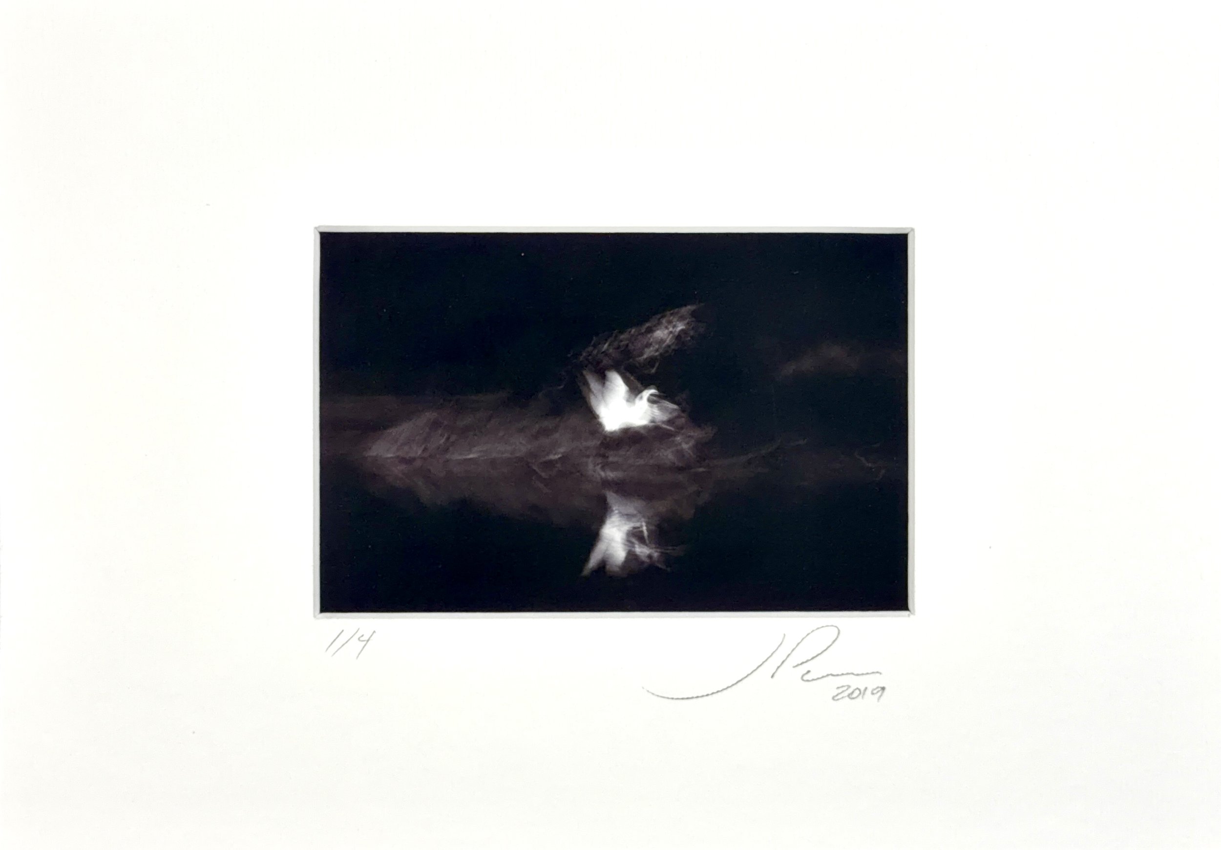 Drawing With Light On Heron And Islet-2