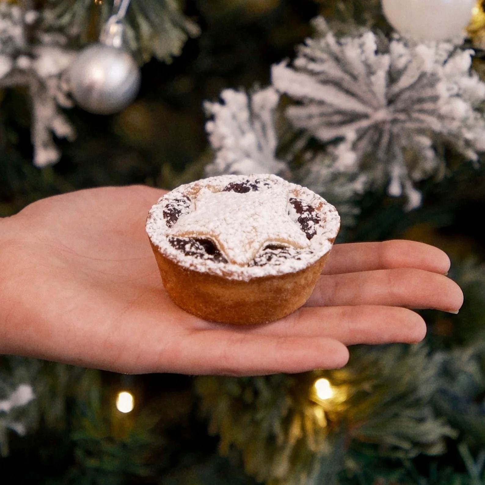 CHRISTMAS SWEET MINCE PIE 10 PACK