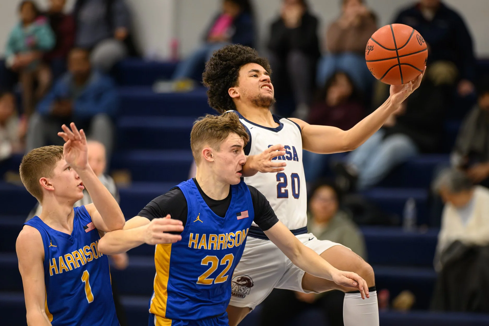 1 SASA LOW RES -1-29.jpg