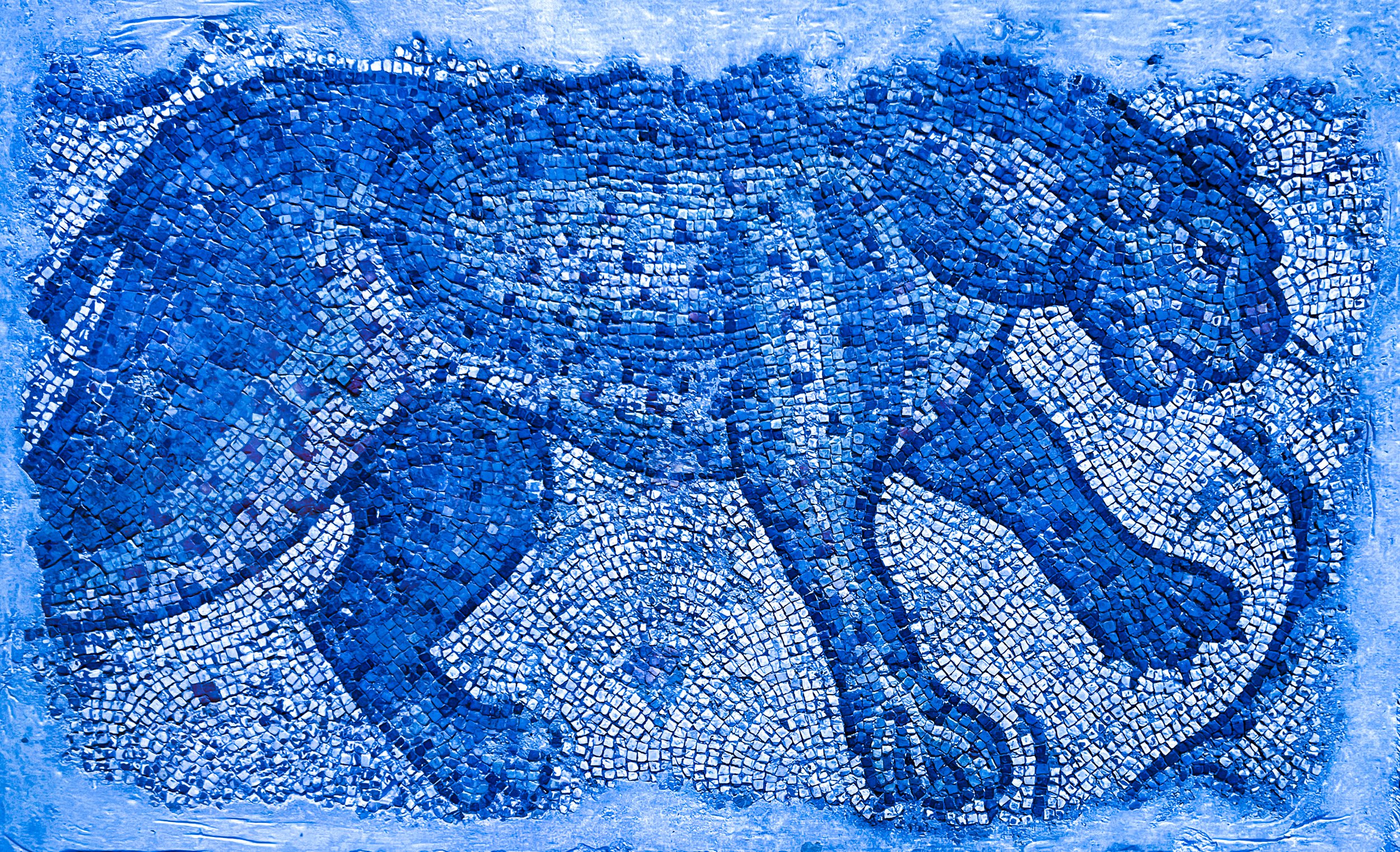blue Panthers mwk-1.jpg