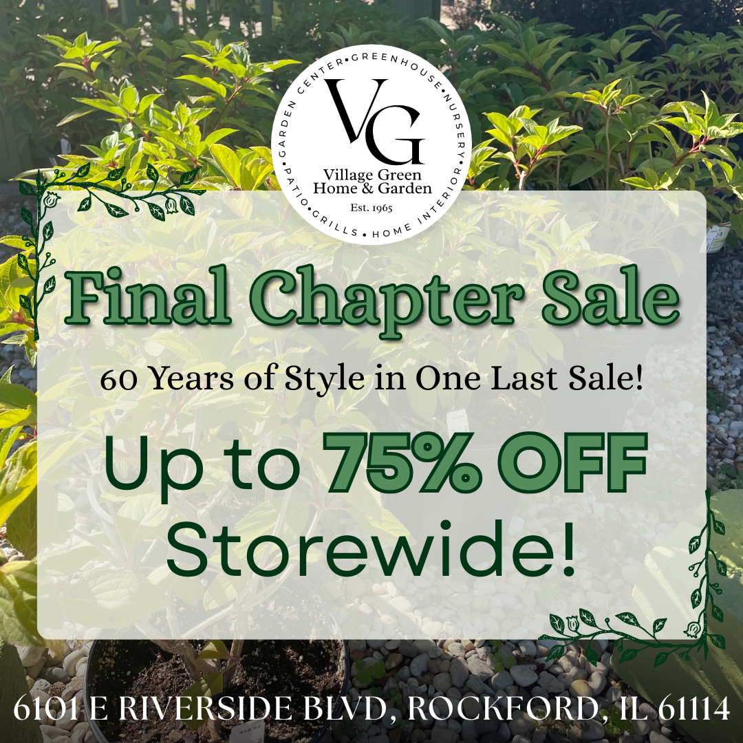 VG-Final Chapter Sale 1023.png