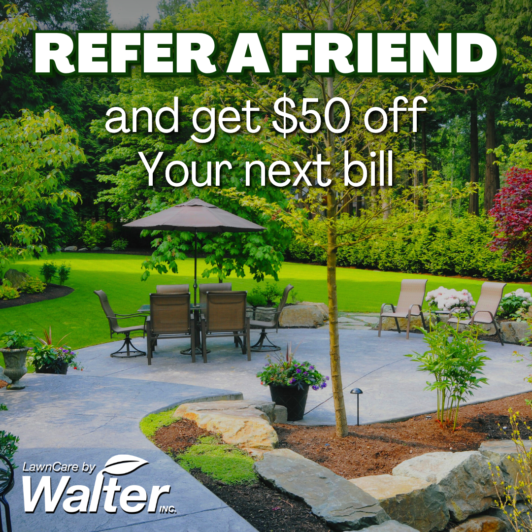 LCBW-Refer a Friend Feb 11th.png