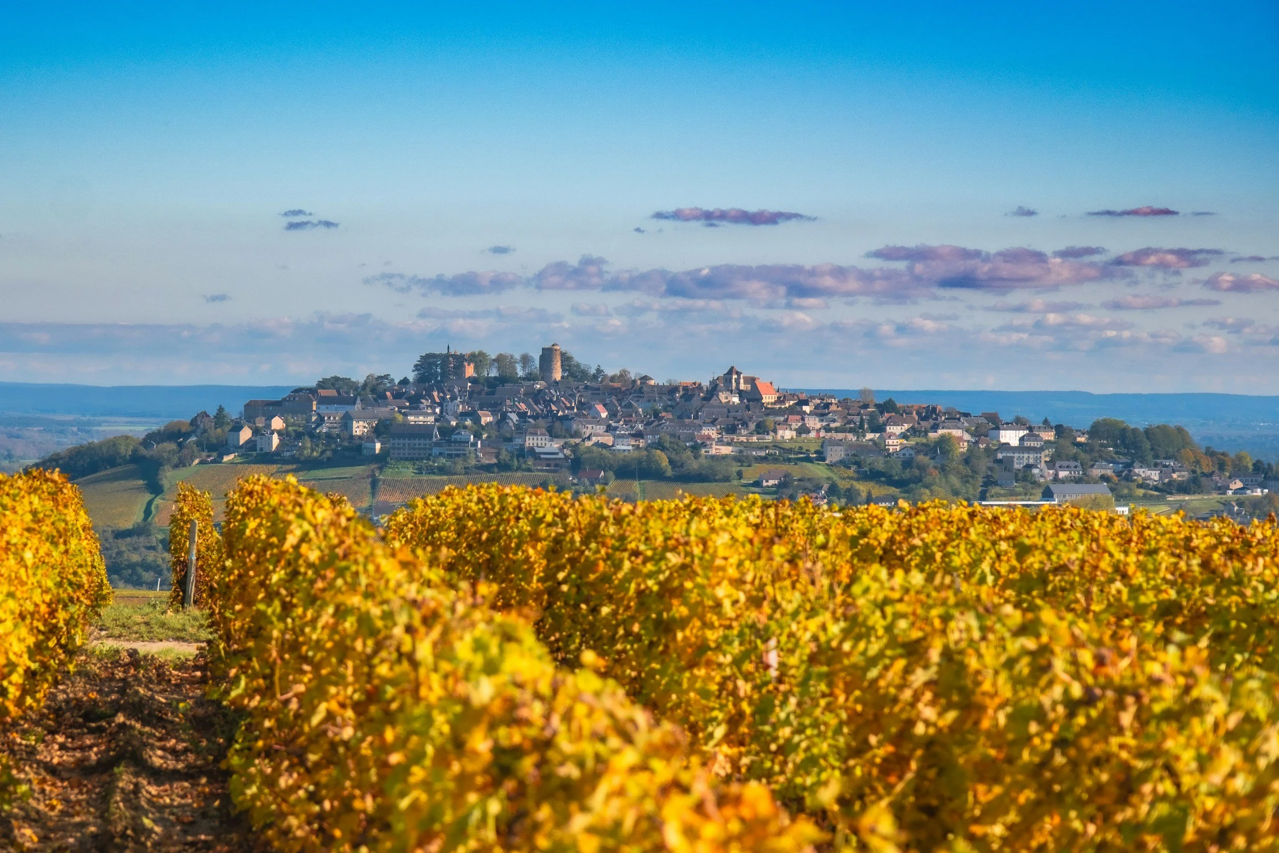 Loire’s Hidden Treasures | Drop-in Class