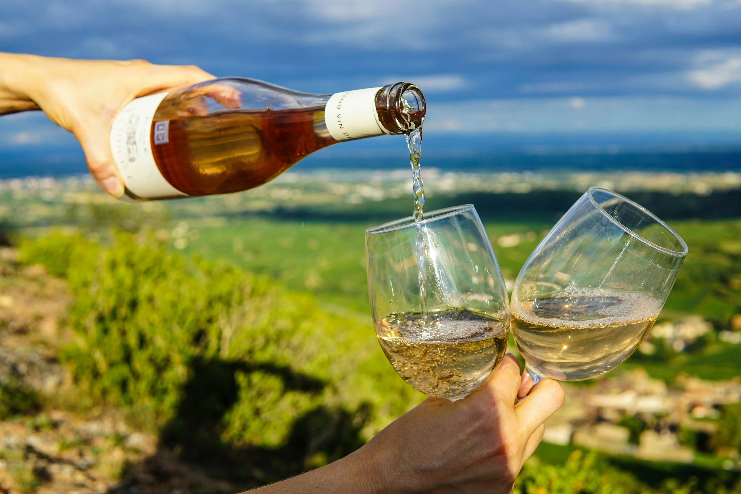 The Grapes You’ve Never Heard of: Italy Edition | Drop-in Class