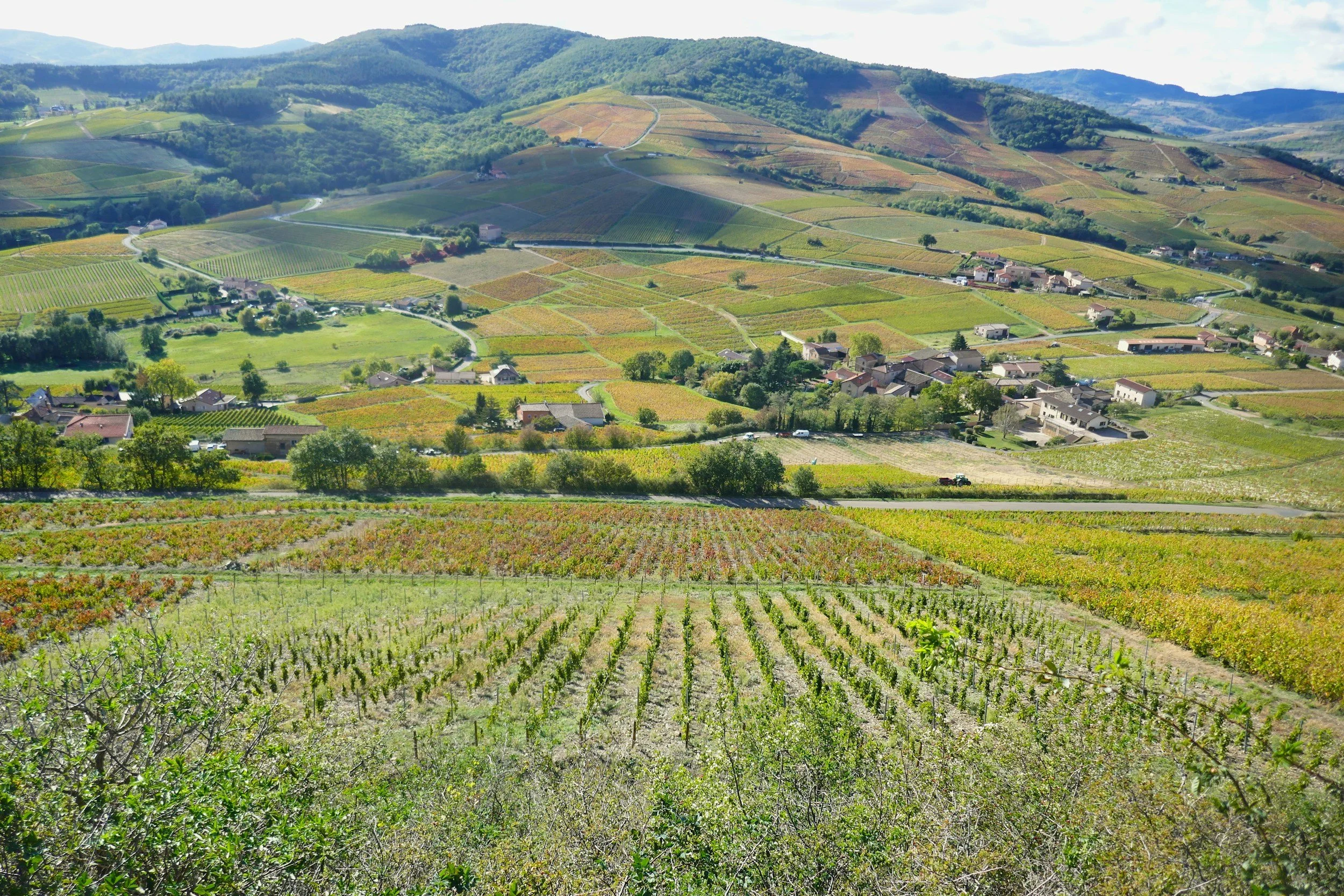 Ten Crus Uncorked | Special Event