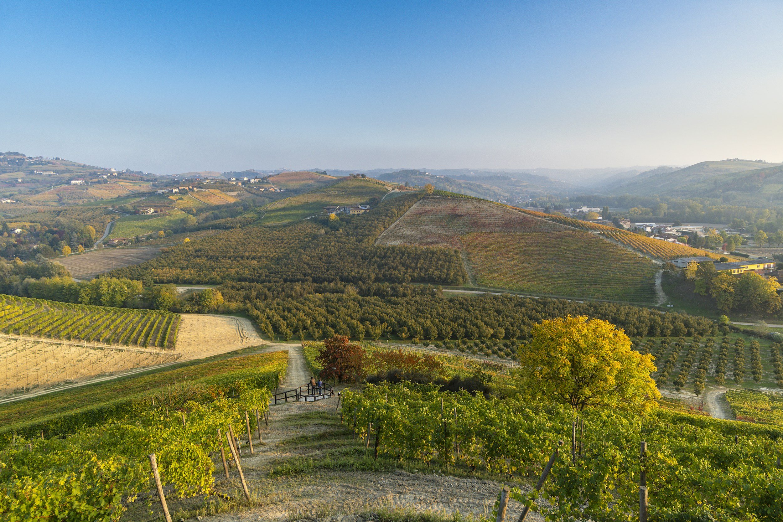 Barolo: Cru by Cru
