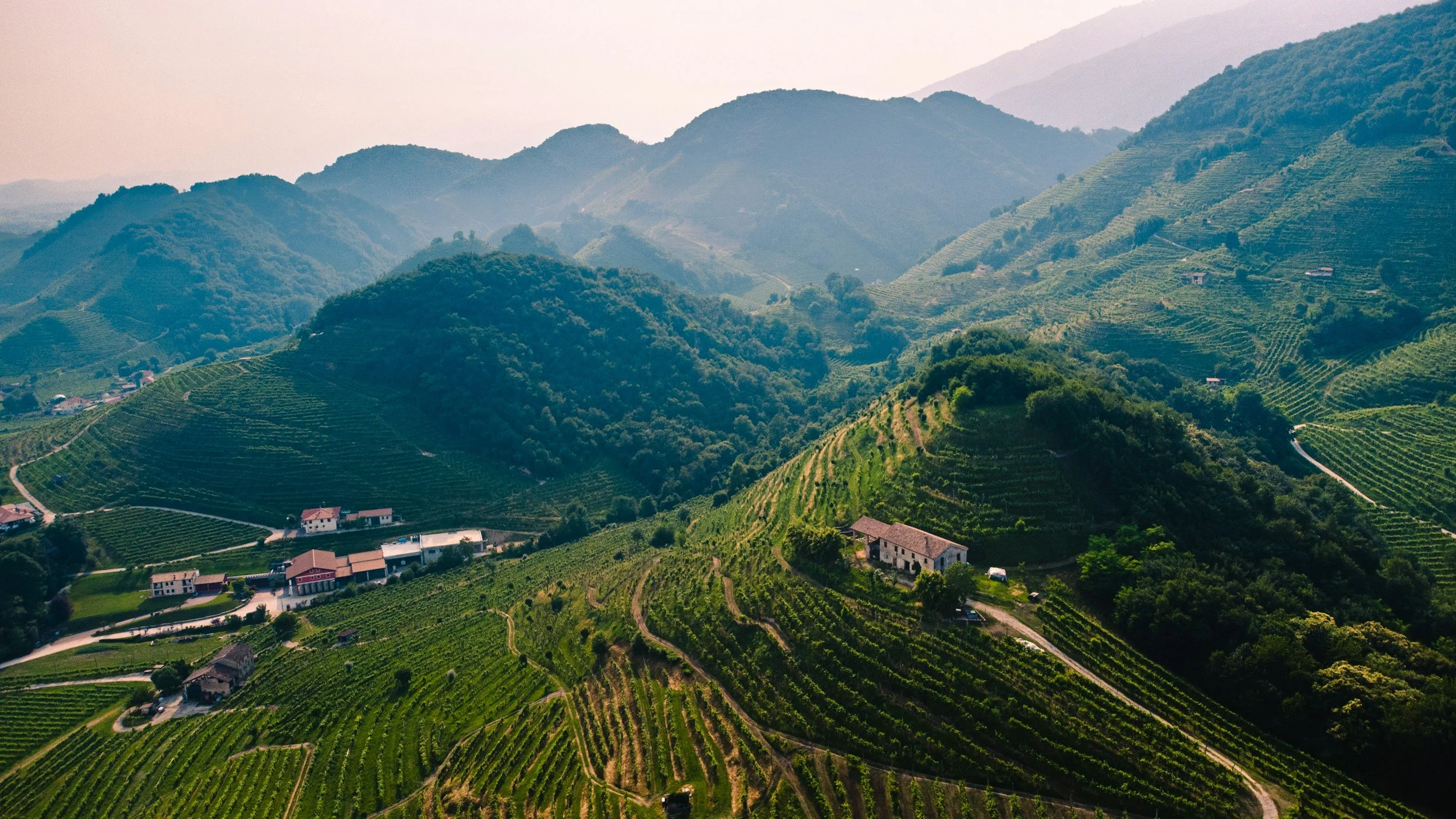 Conegliano Valdobbiadene Prosecco DOCG Masterclass