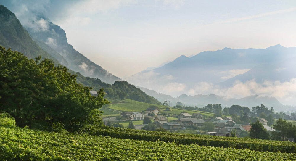 Get to Know Savoie | Drop In Class