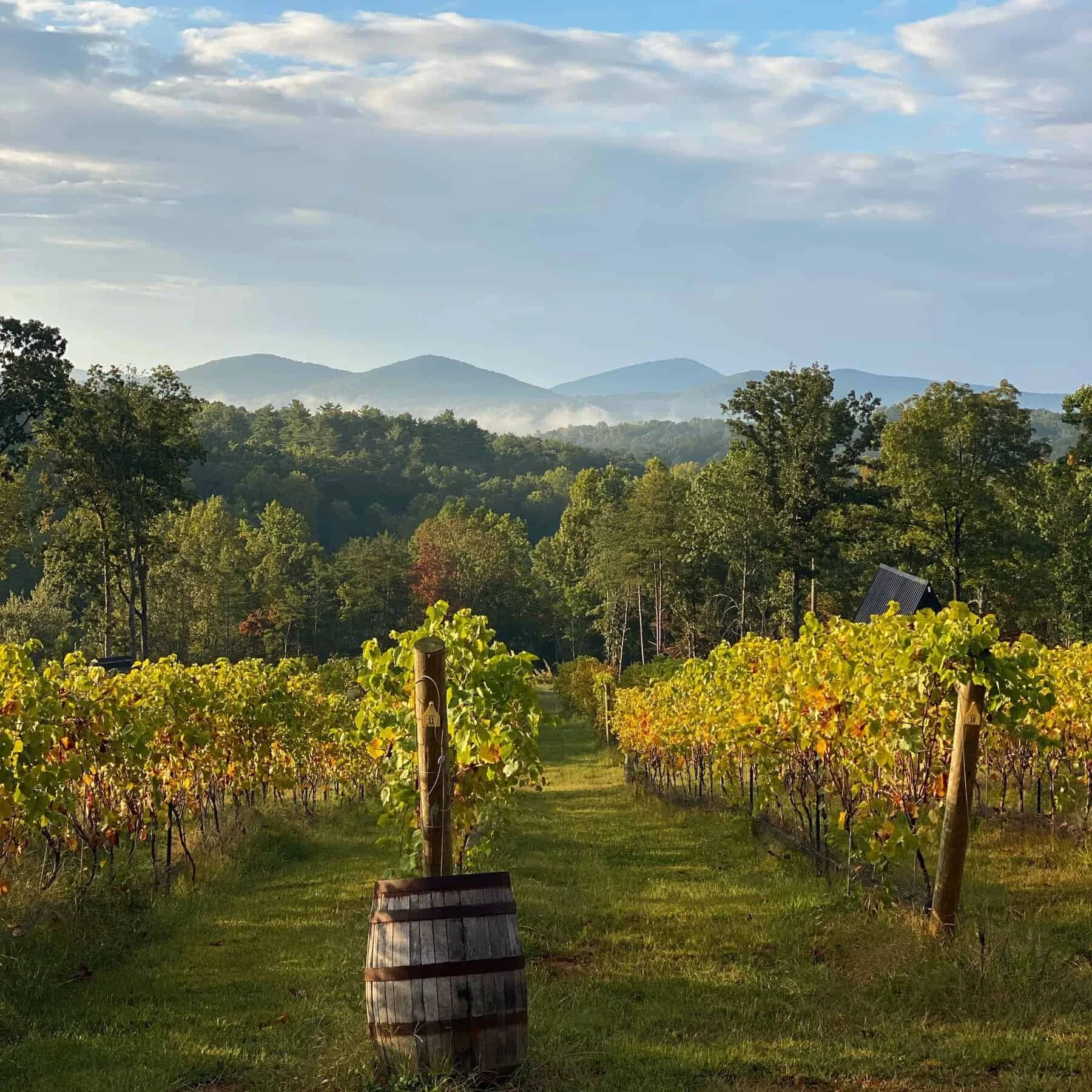 Field Trip: Sunday Blind Tasting at Limoges Cellars
