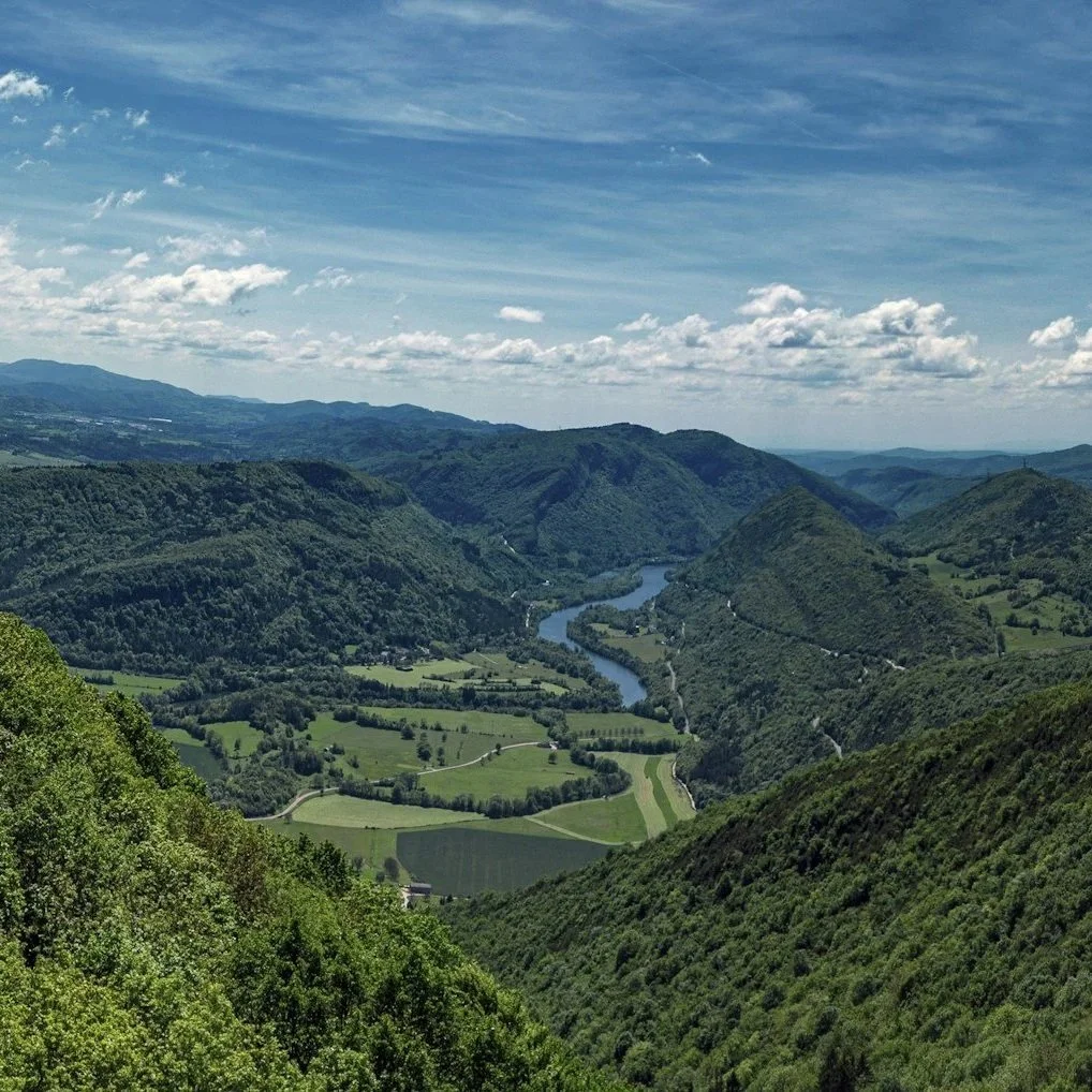 Between Mountains &amp; Tradition: The Wines of Jura