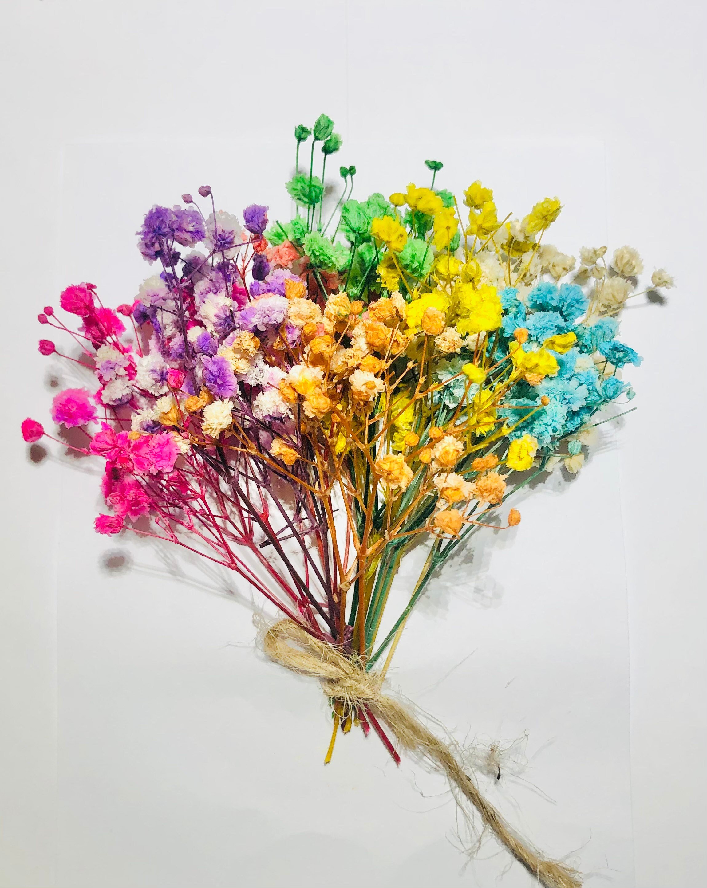 https://i.etsystatic.com/16085960/r/il/899736/2772139628/il_fullxfull.2772139628_he77.jpg