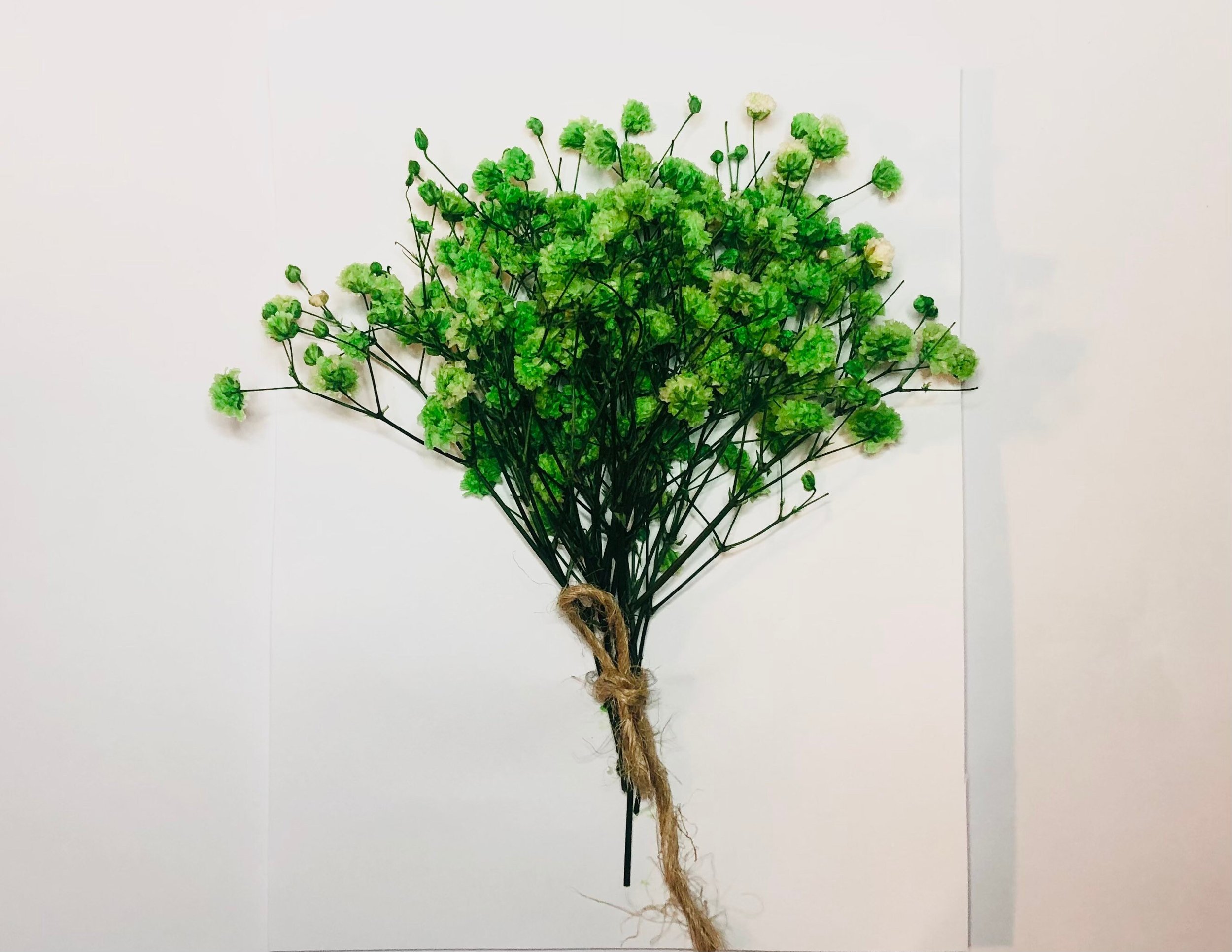 https://i.etsystatic.com/16085960/r/il/b9ec7f/2773668210/il_fullxfull.2773668210_jd8s.jpg