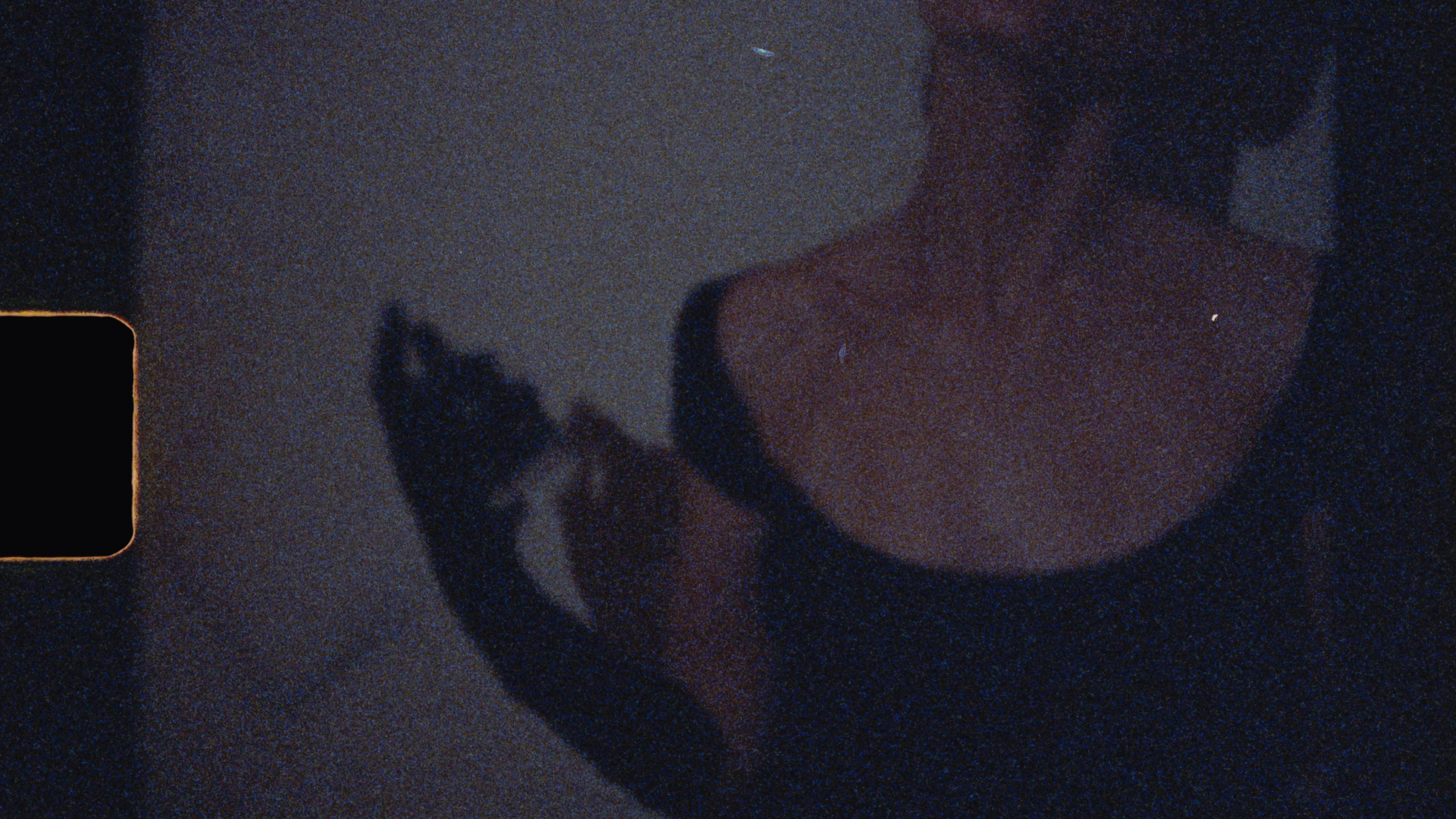 Screenshot 2023-10-24 at 9.32.29 am.png