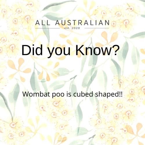 A floral-patterned background with text that reads 'ALL AUSTRALIAN est. 2020 Did you know? Wombat poo is cubed shaped!!'