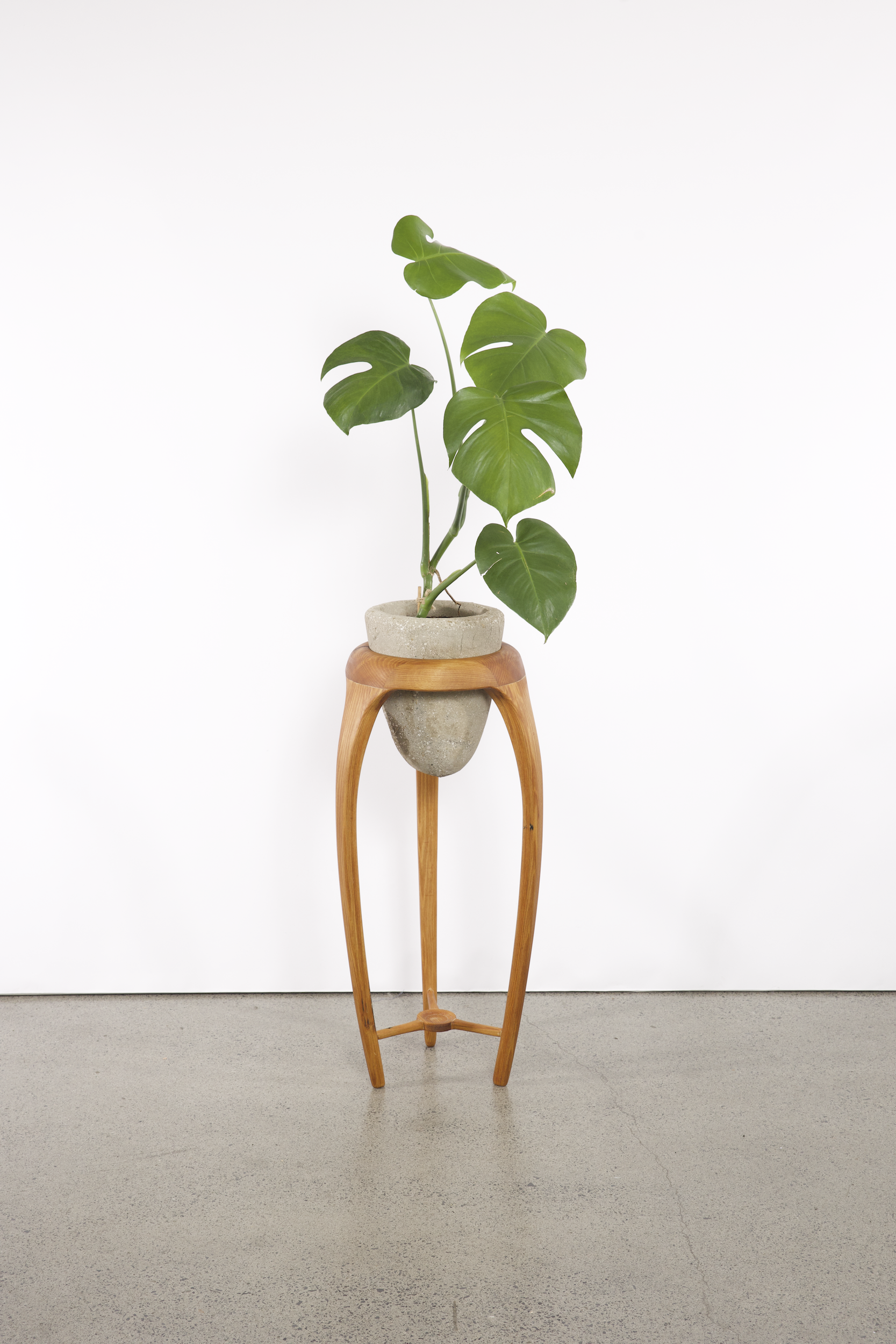 Lluvia Planter, Reclaimed Rimu and rammed earth pot