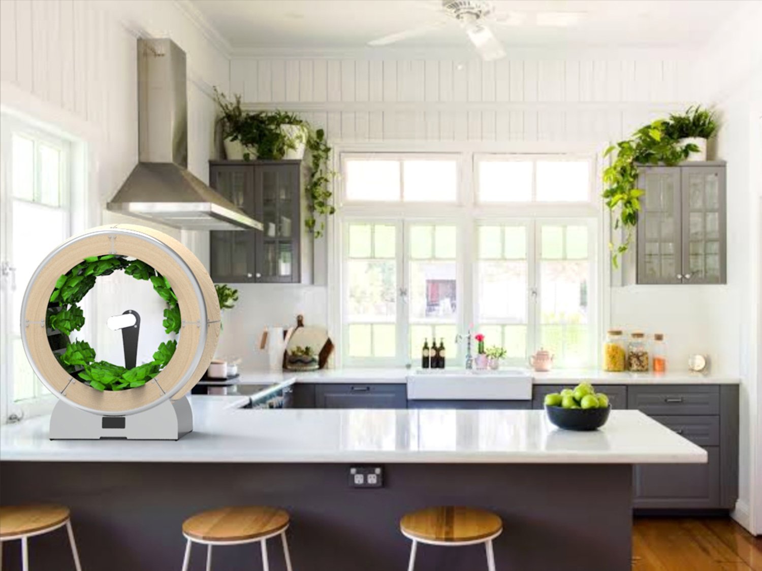 OrbitKitchen.jpg