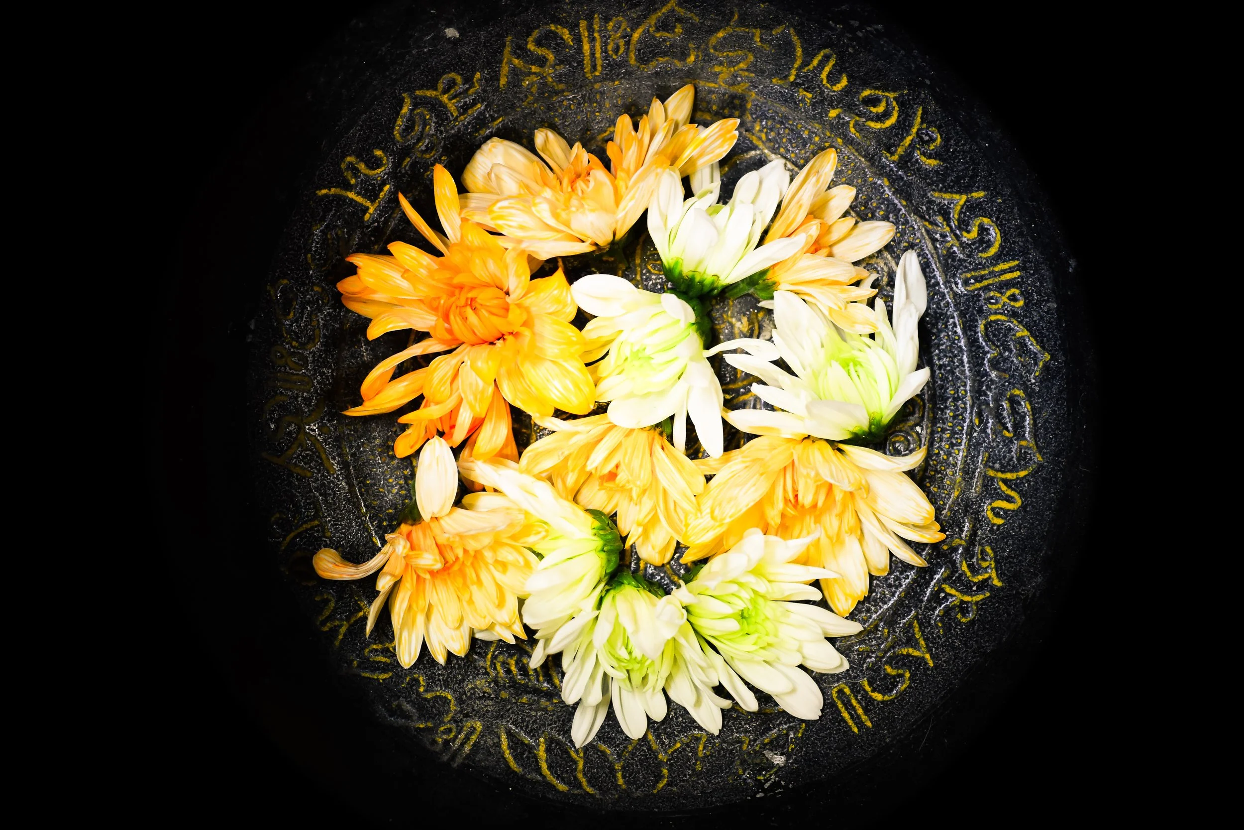 FLOWERS 2.2.jpg
