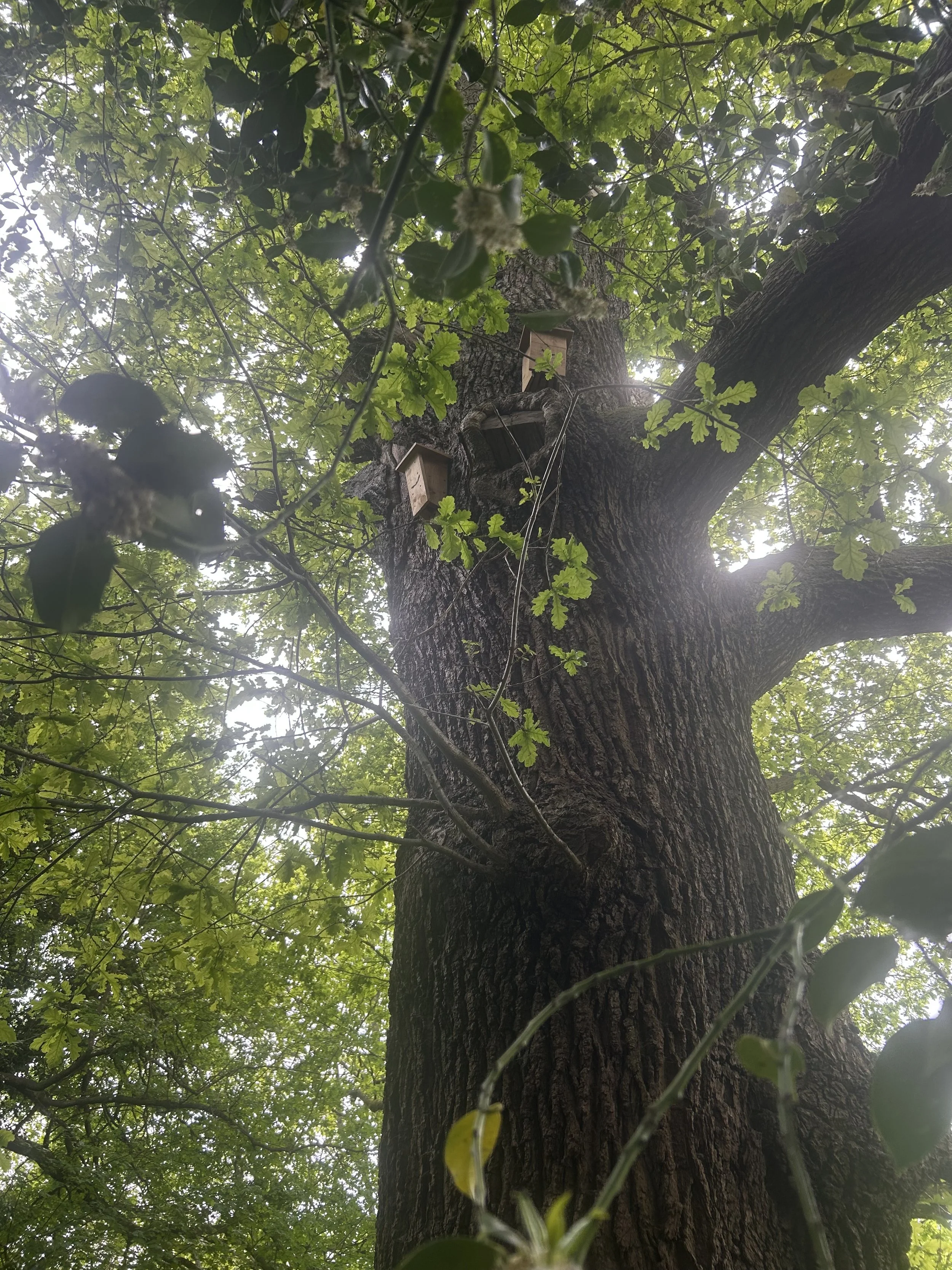 Come to our 1st Nature Day on Sat 30th May ! 