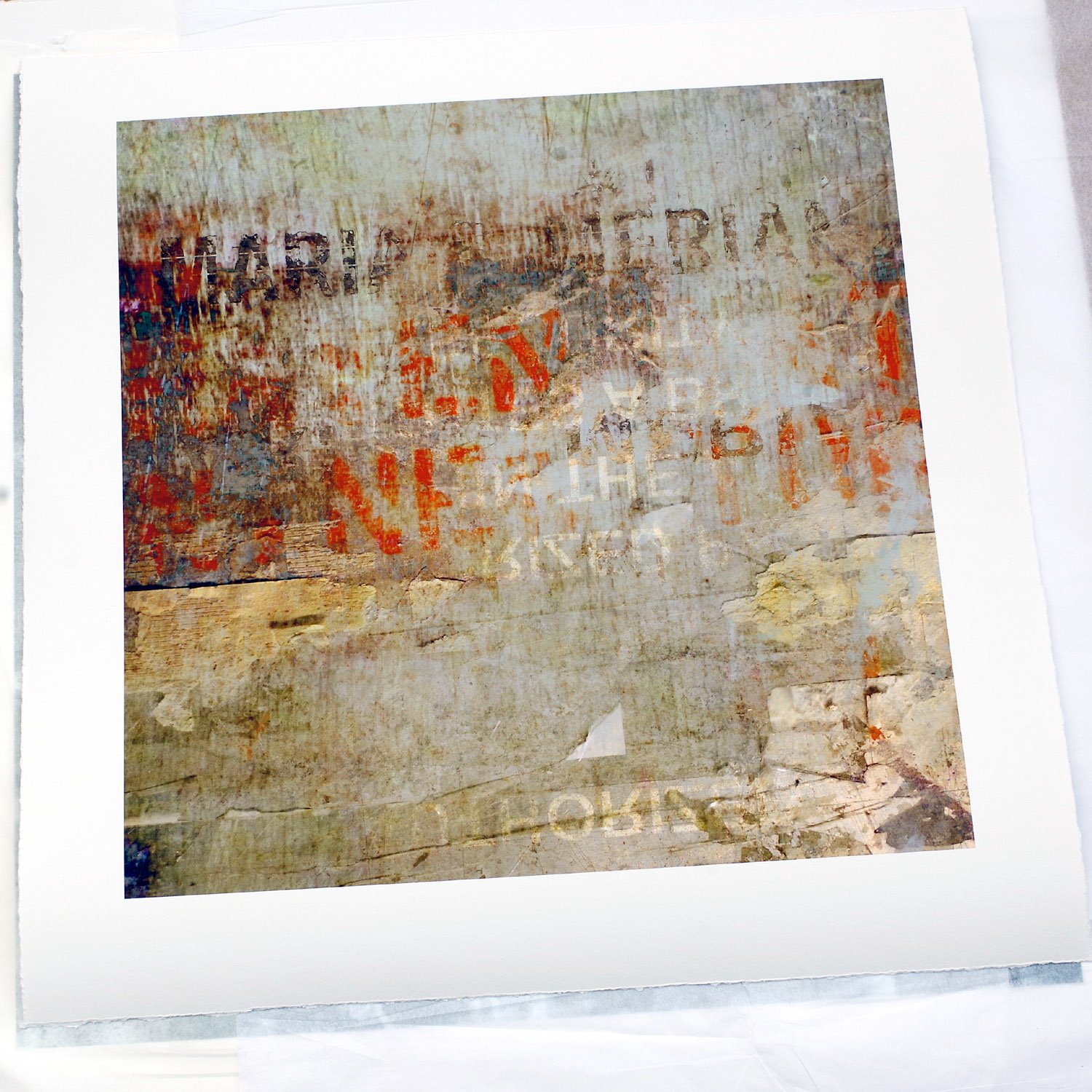 Fading From Memory print - 1500pix.jpg